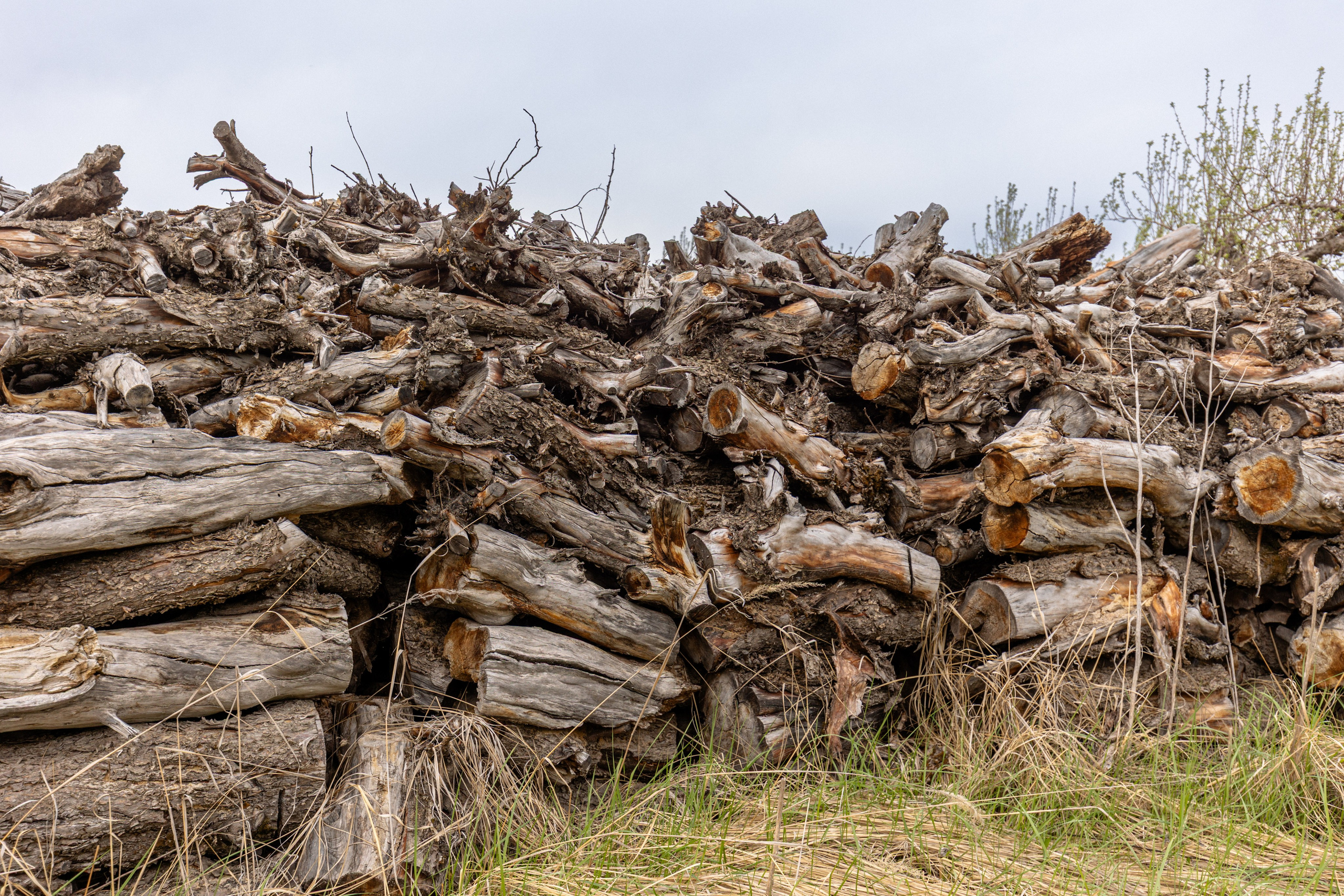Приусадебный участок. Владислав Волков | Фотография и видеосъемка в Воронеже