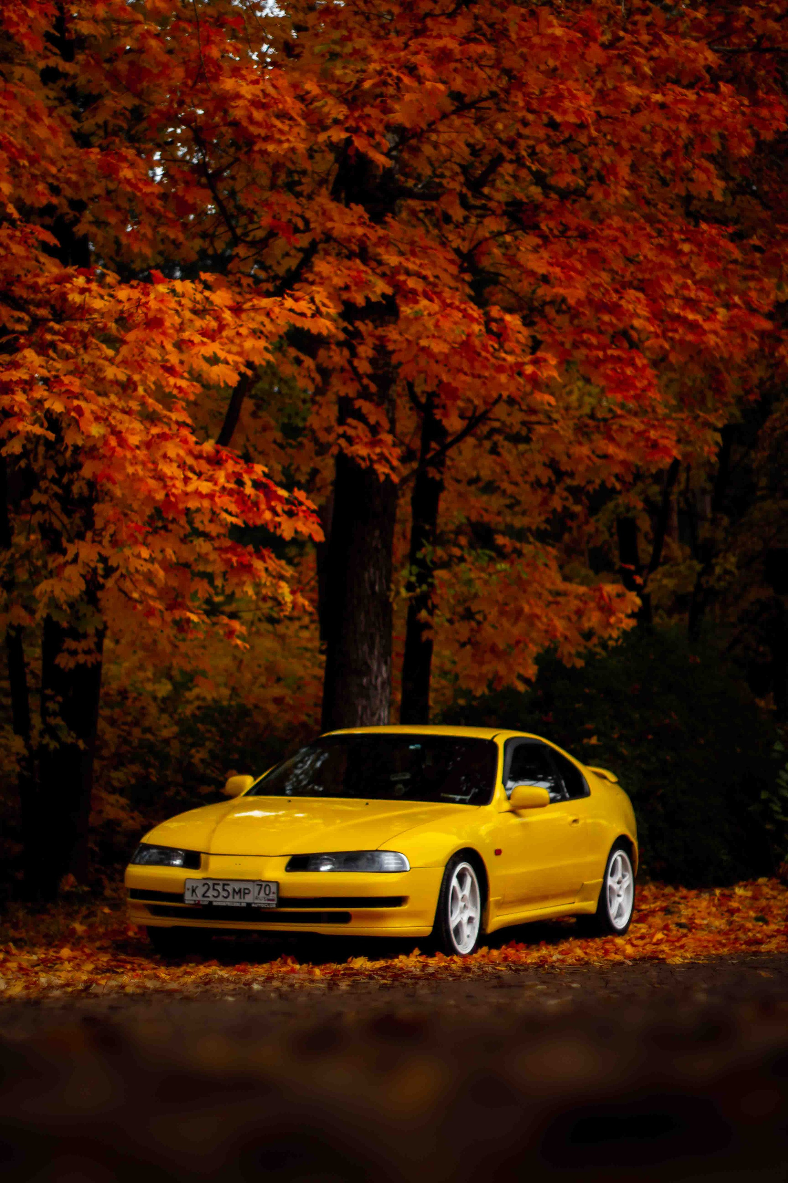 Осеннее настроение. Александр Попов