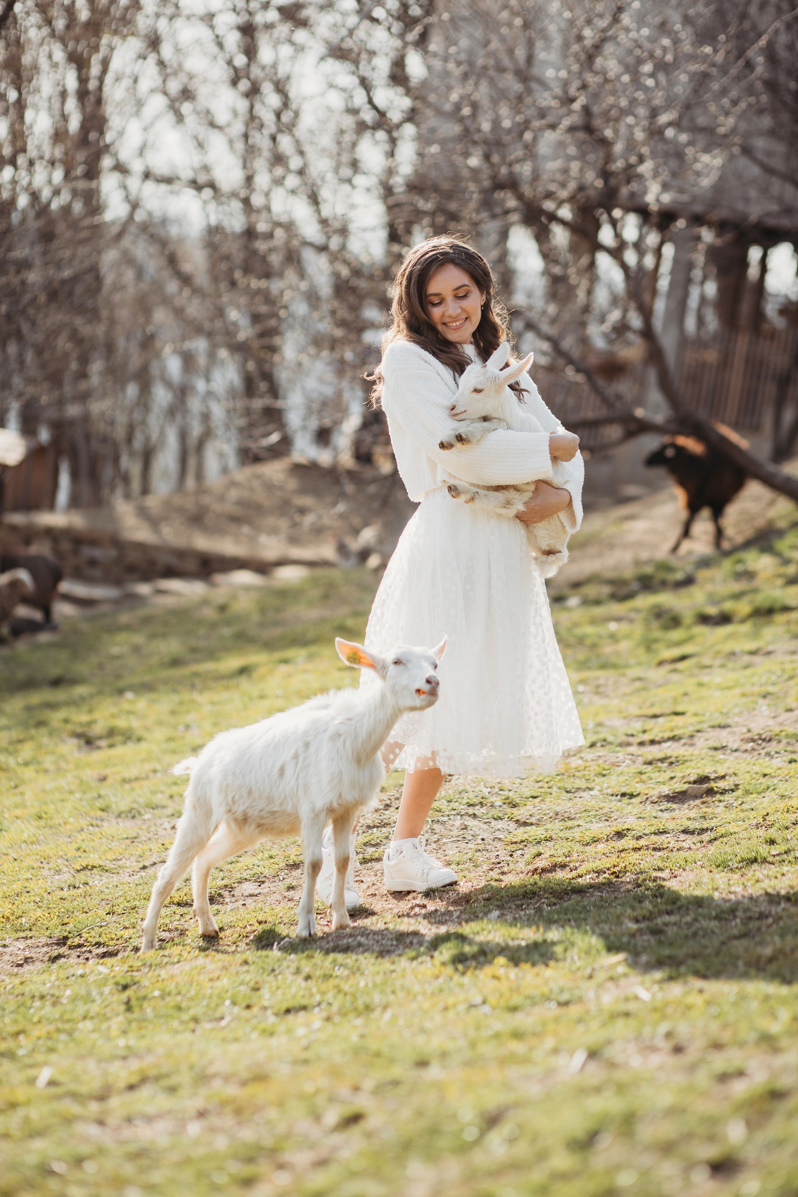 Ферма Экзархо. Фотограф Сочи Татьяна Зорина