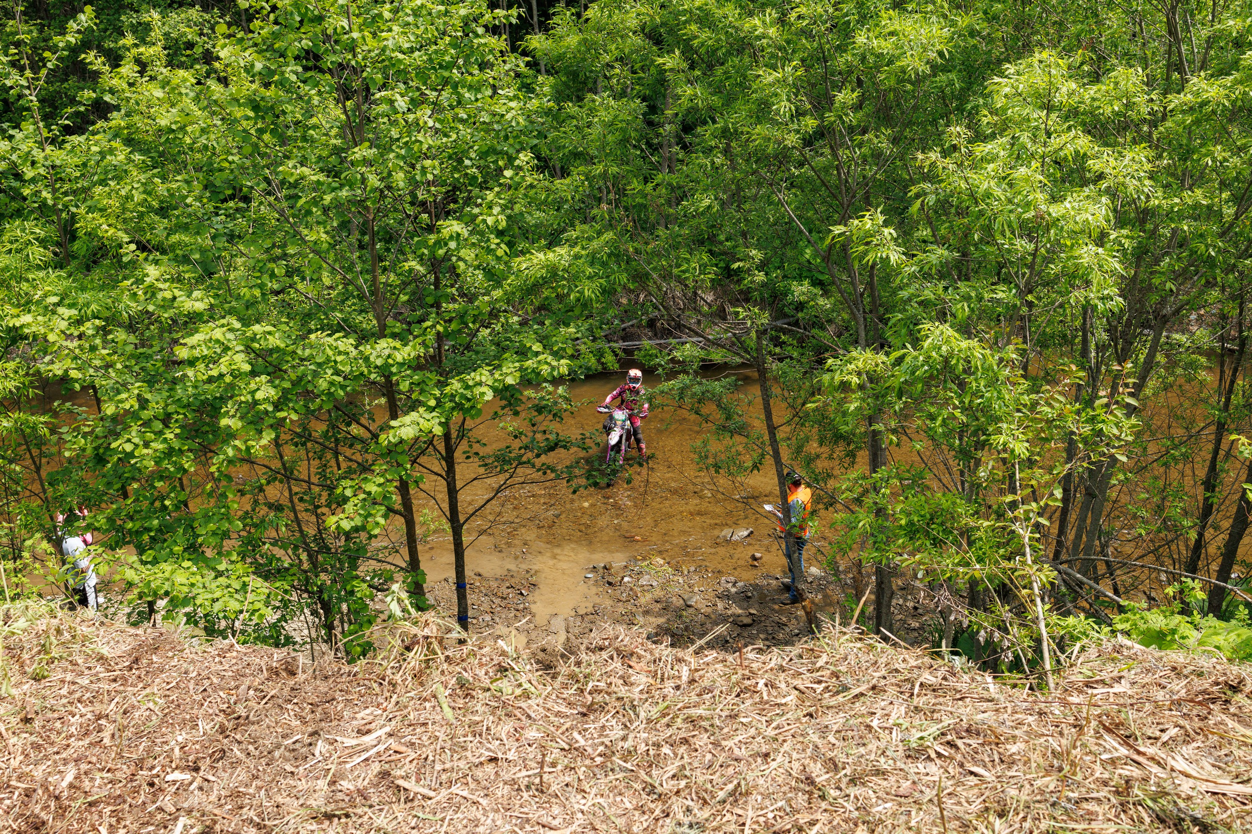 SET Project 2025. Свадебный, семейный и репортажный фотограф в Южно-Сахалинске Артур Петросян
