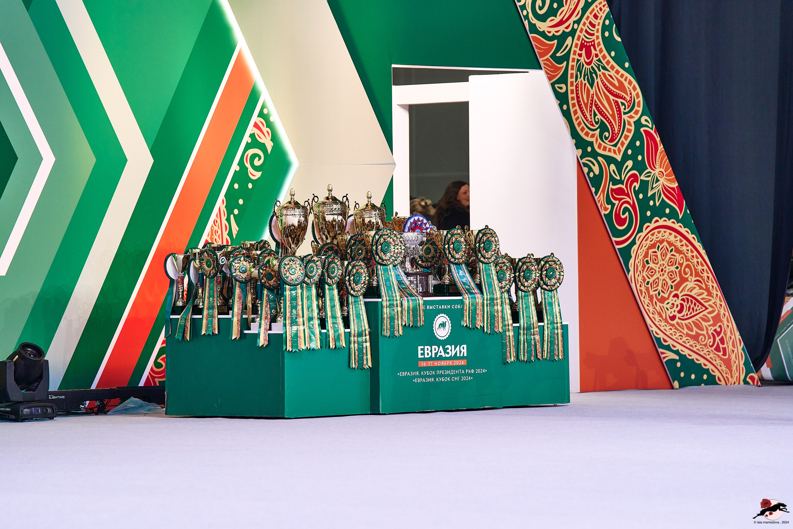 16.11.2024 «ЕВРАЗИЯ. КУБОК ПРЕЗИДЕНТА РКФ 2024»