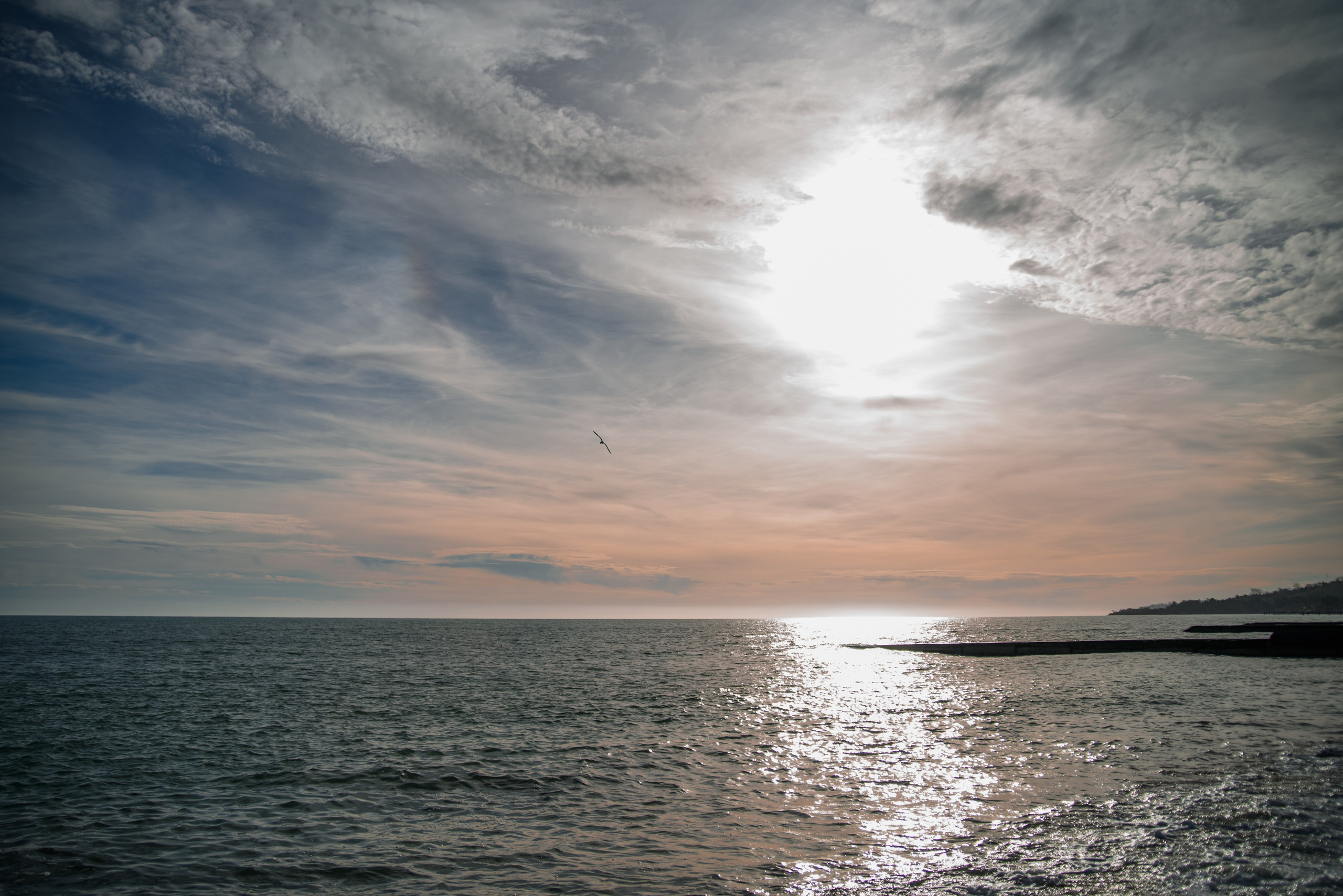 Goblincore, природа, фэнтези, нечисть, лес, гоблинкор, эльфы, фотосессии, костюмированные