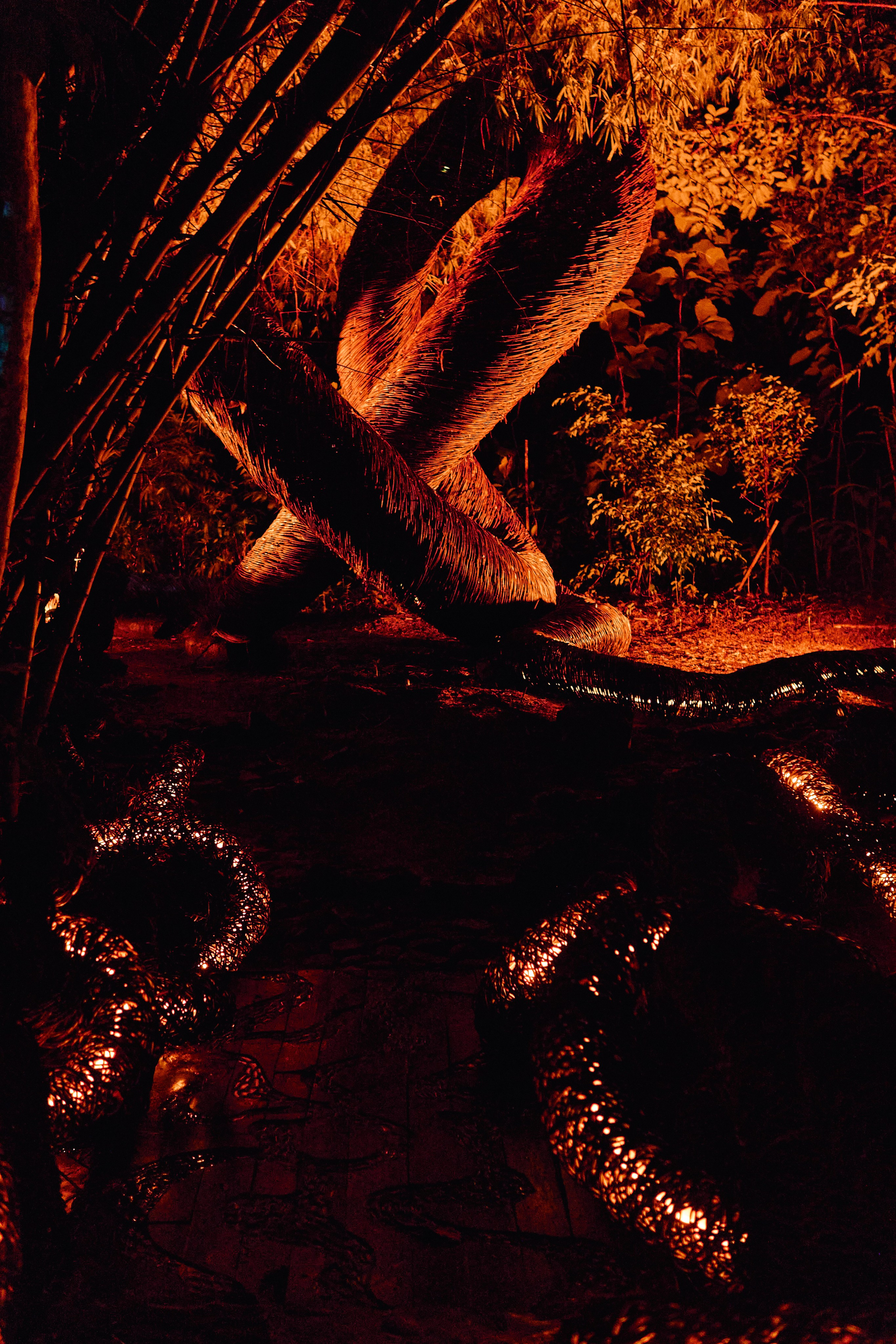 NuanuNight. See the moment and catche. commercial and reportage