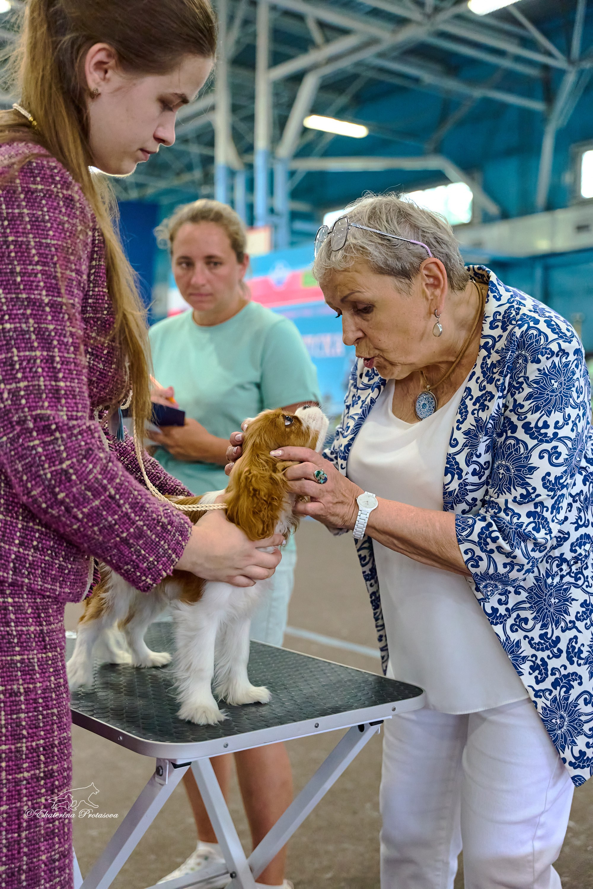 Выставки разное. Фотограф-анималист в Иркутске
