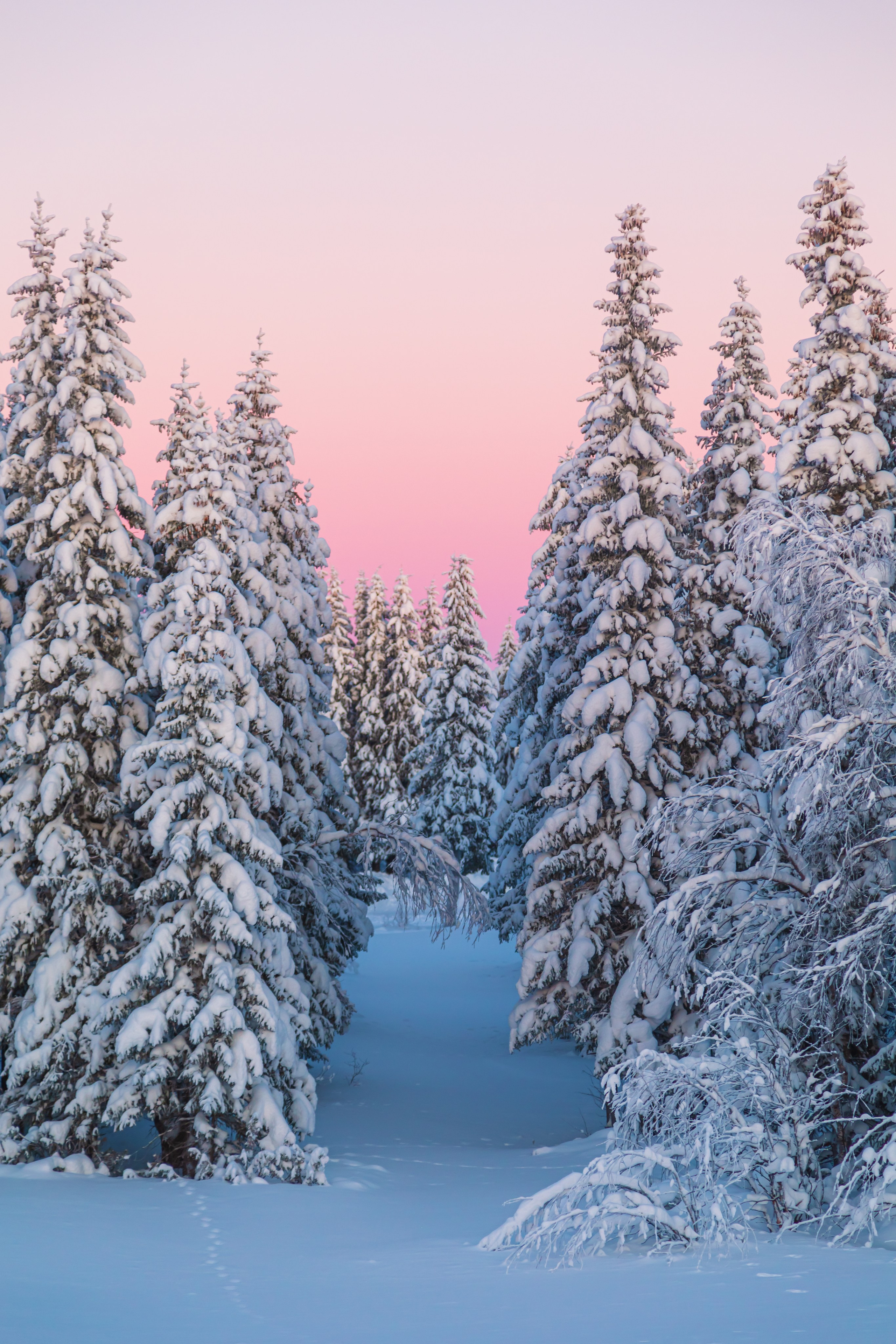 Ненецкий автономный округ. Тревел-фотограф Елизавета Ларионова