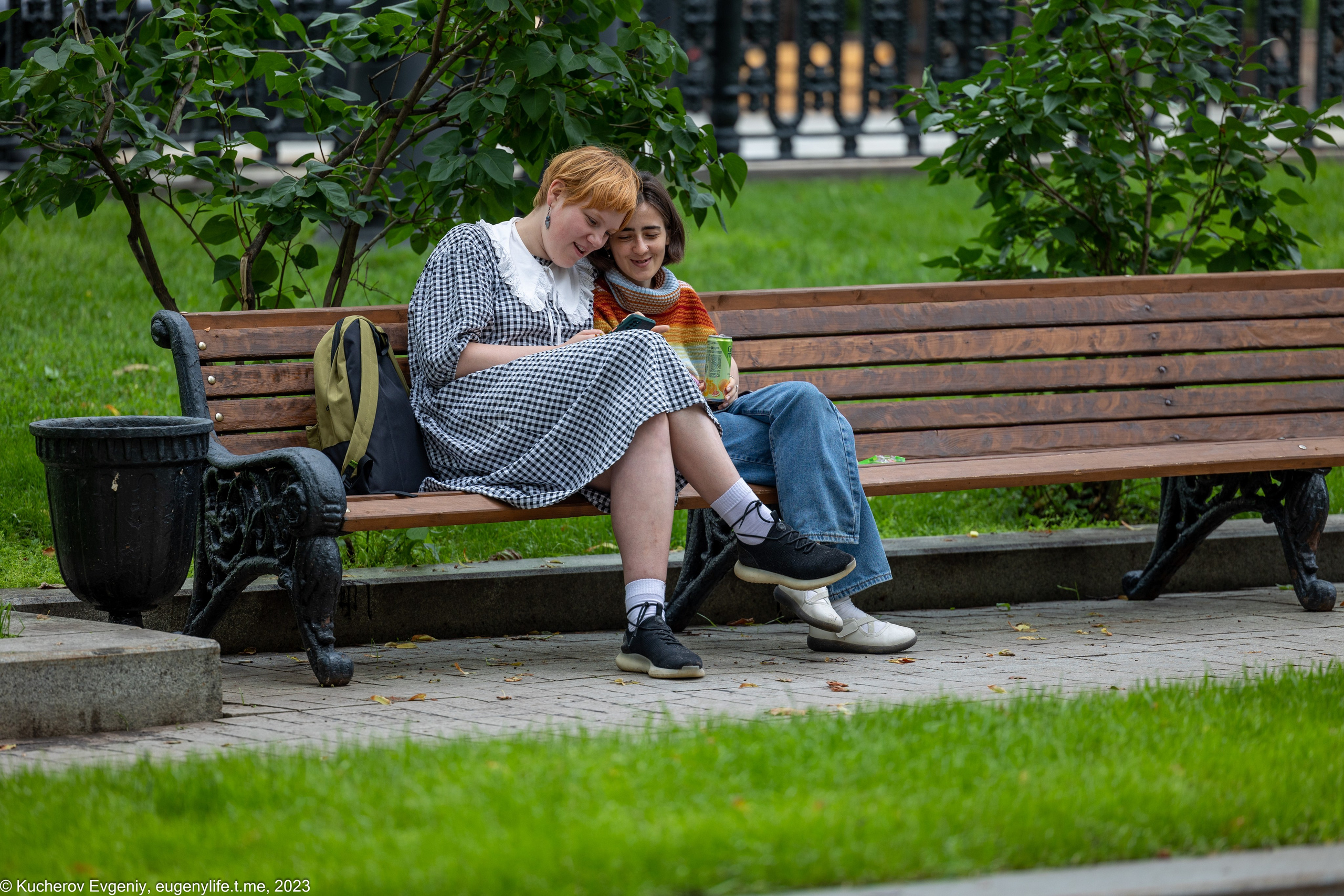 Скамейки. Кучеров Евгений. Фотограф