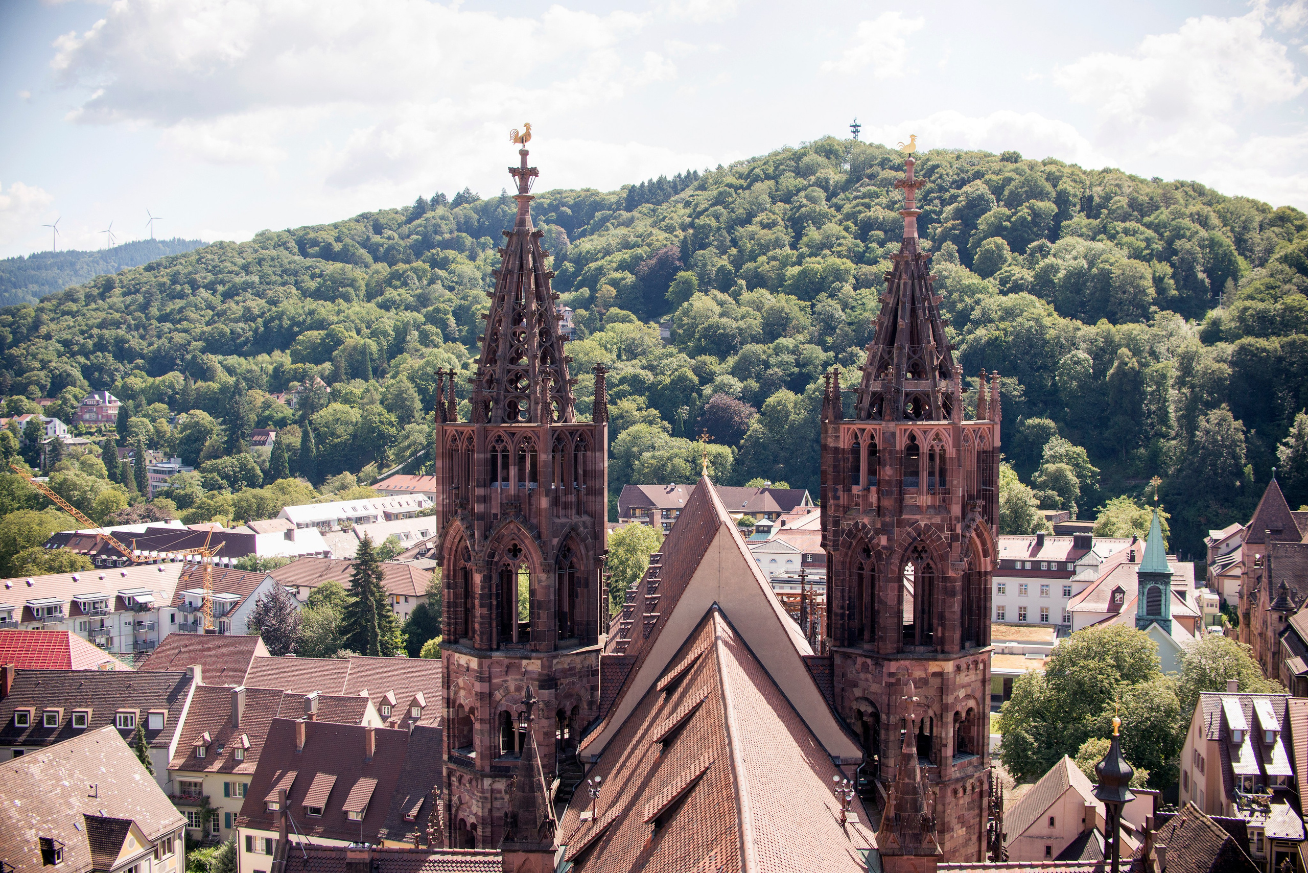 Автор: Александра Першина