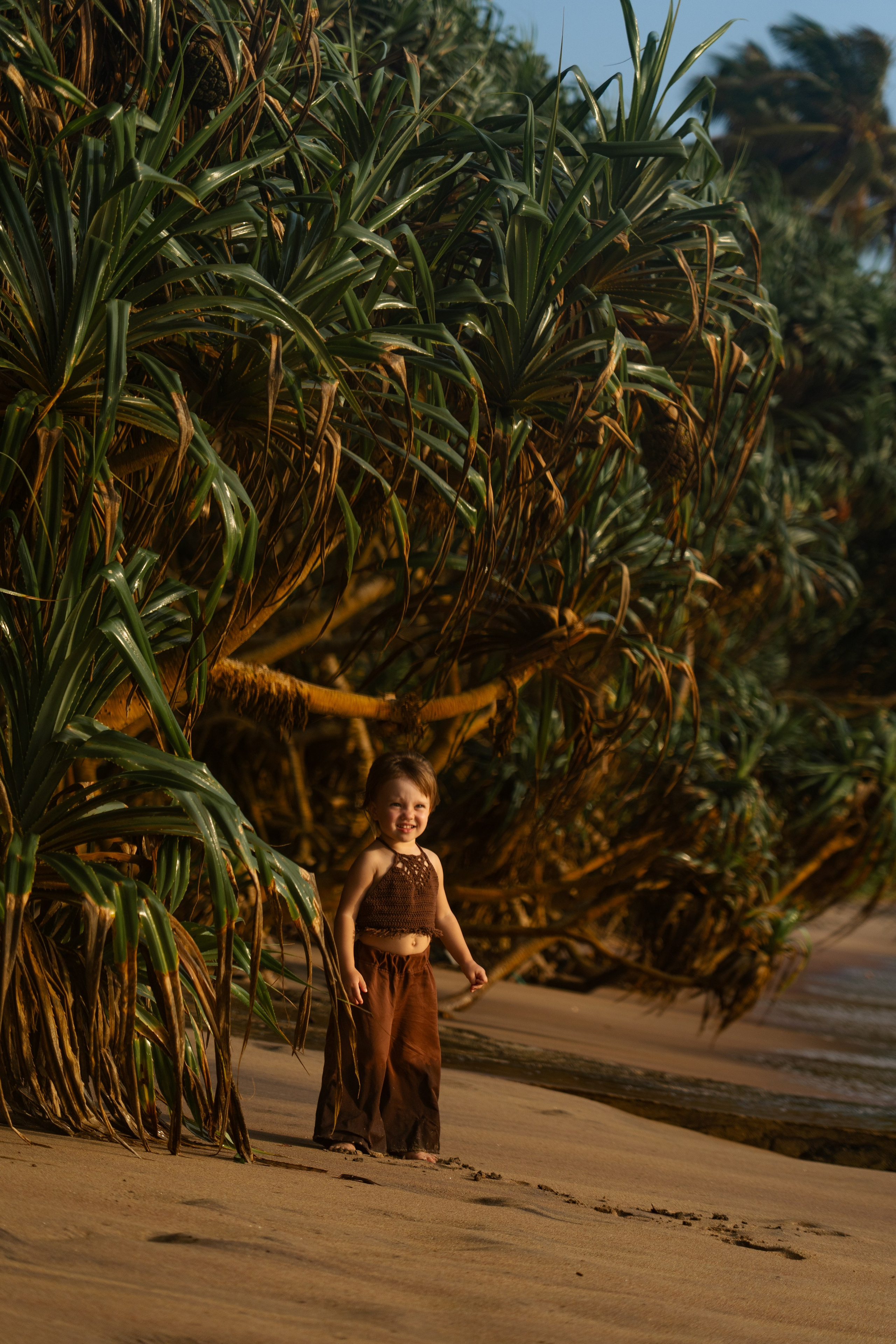 Пляжи Шри-ланки для фотосессий