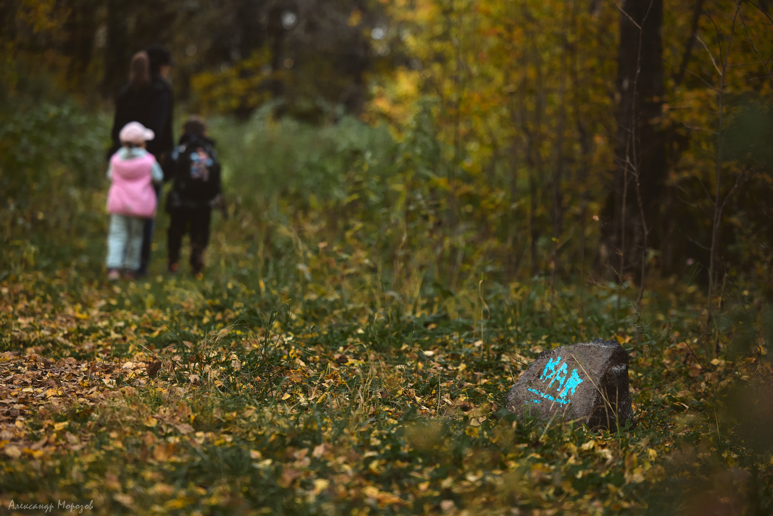 Осень в деталях. Фотограф в Екатеринбурге Александр Морозов