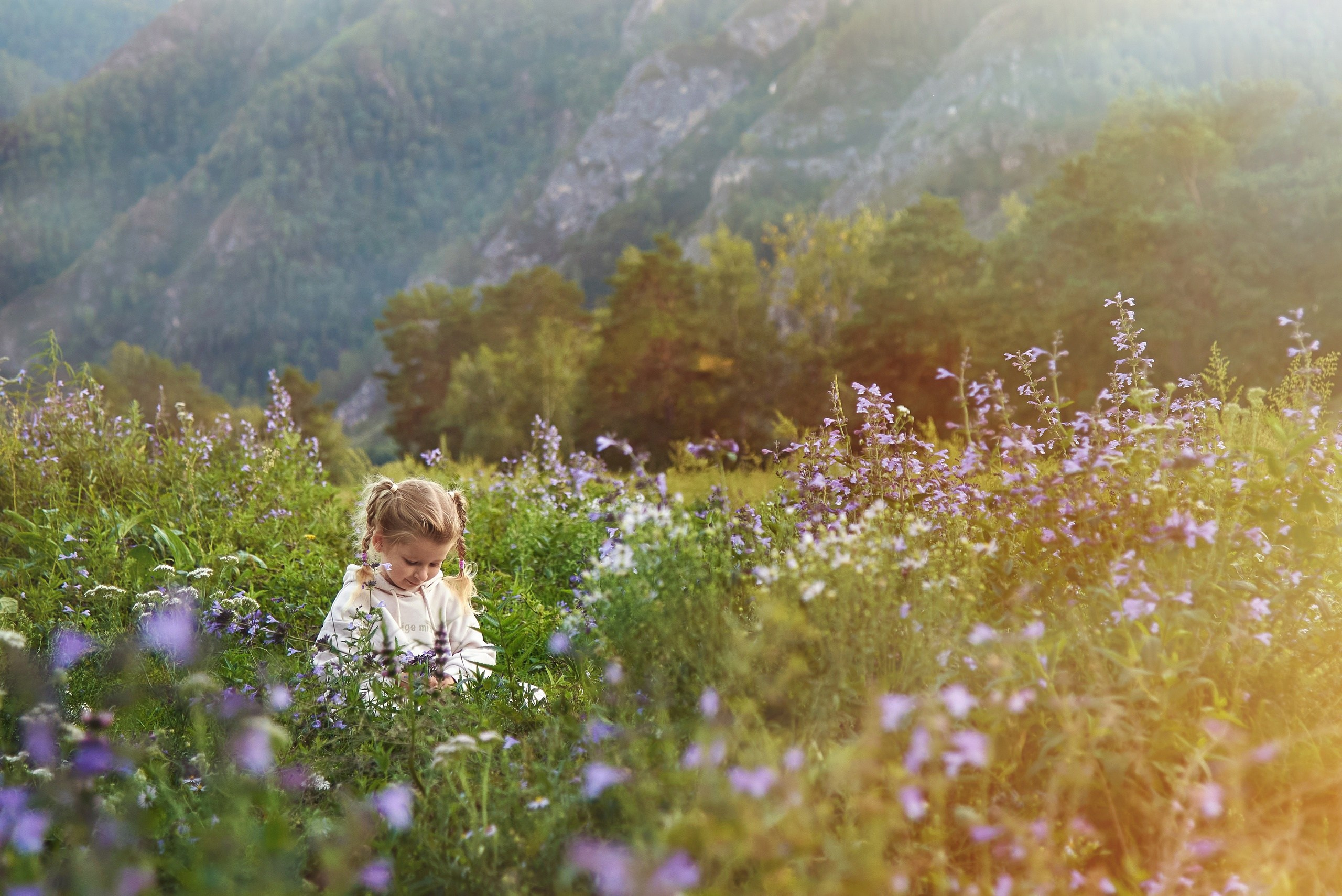 Общее портфолио. Фотограф Опыт Качество Скорость Горный Алтай Барнаул