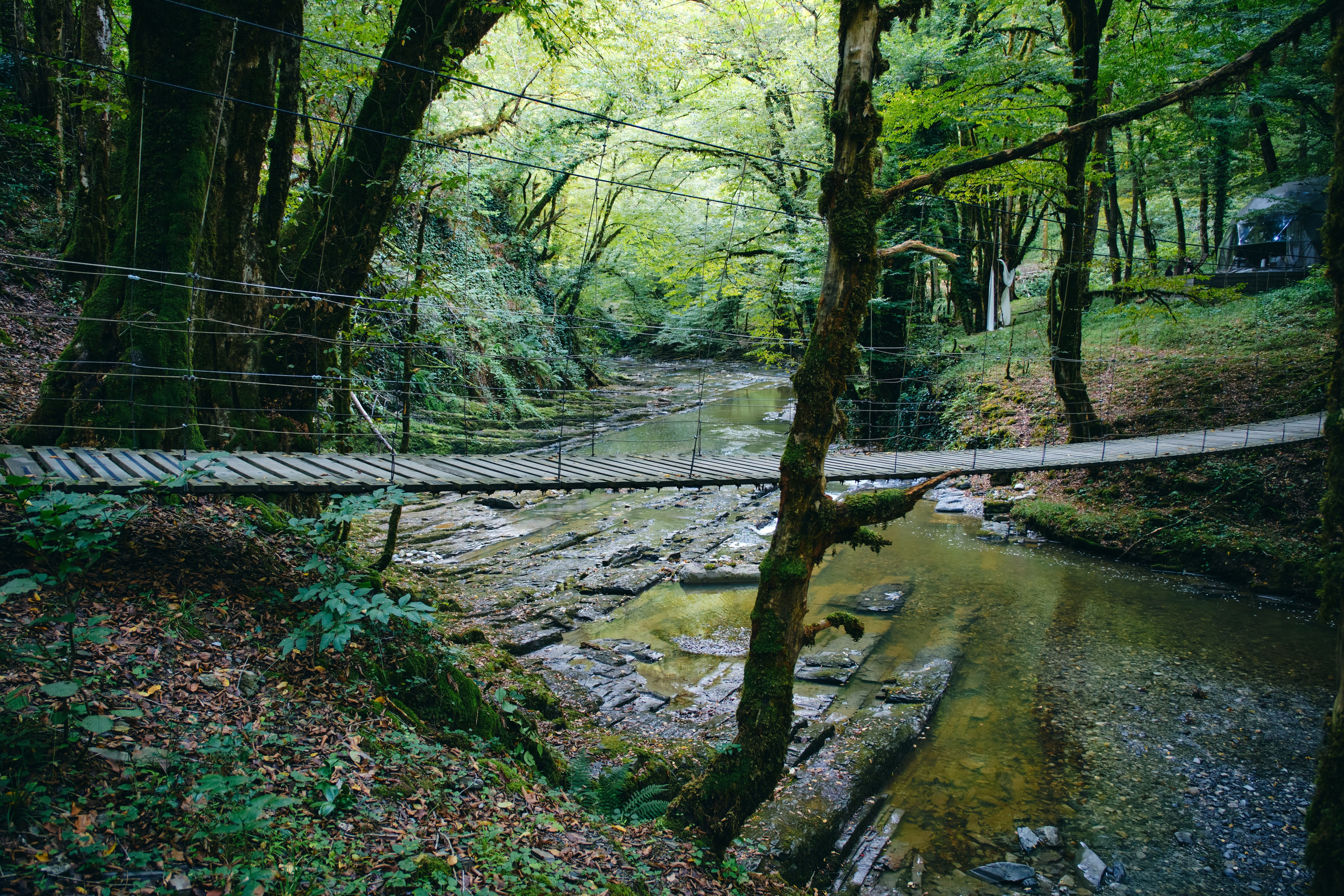 Сказочная свадьба Насти и Максима. Главная