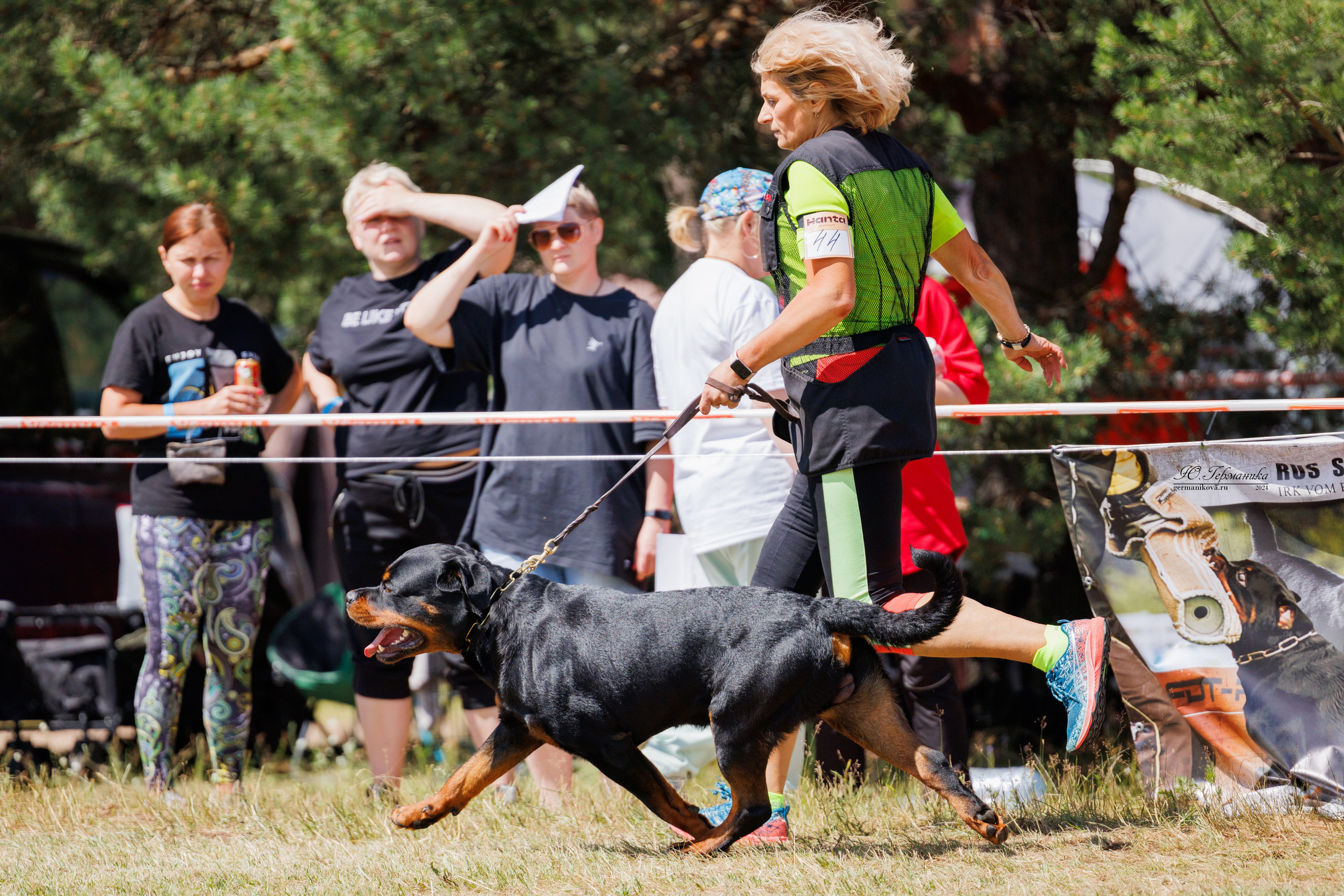 ПК и КЧК ротвейлеры Тверь 6-7.07.2024. Фотограф-анималист Юлия Германика