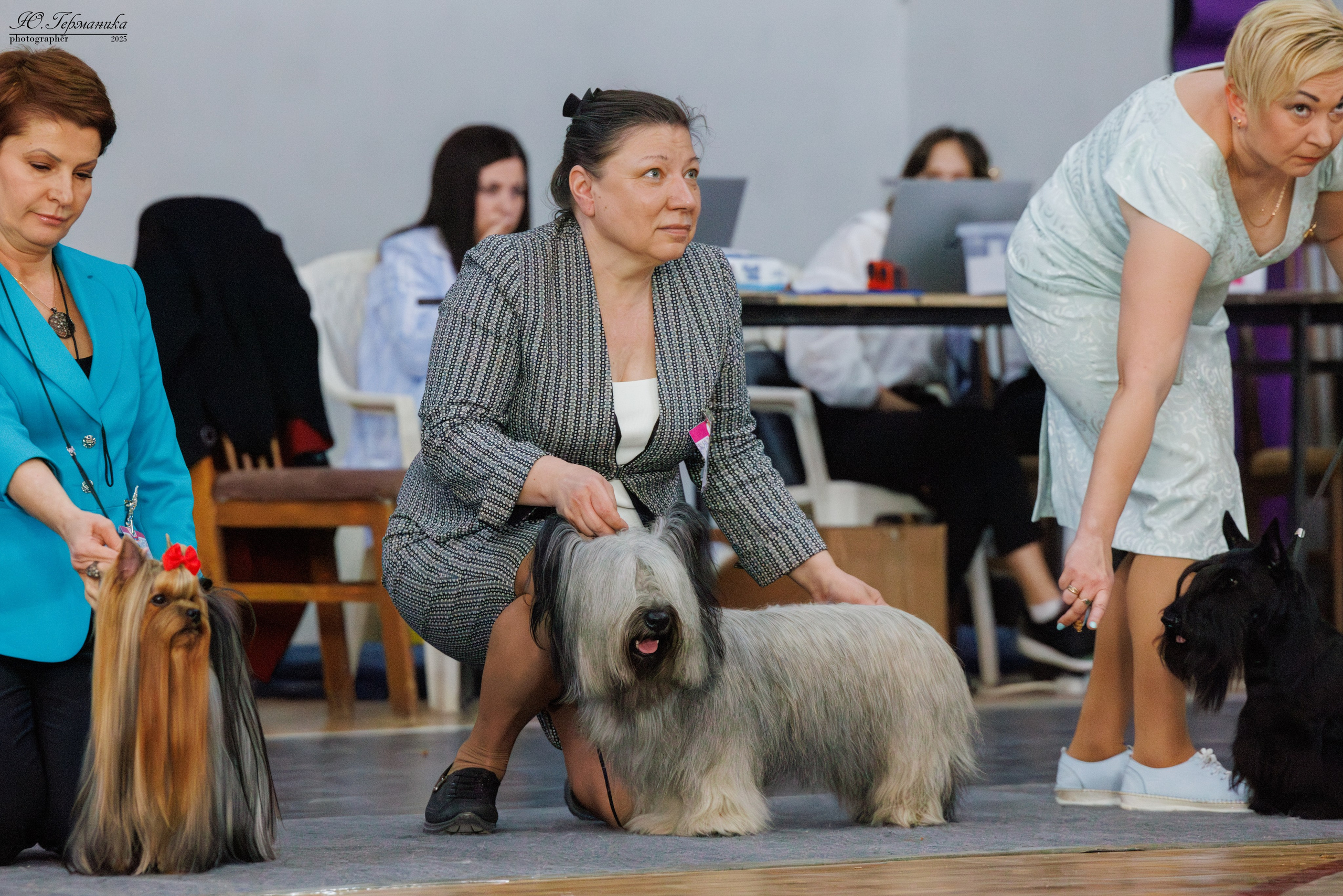 Ереван 2х CACIB 29-30.04.2025. Фотограф-анималист Юлия Германика