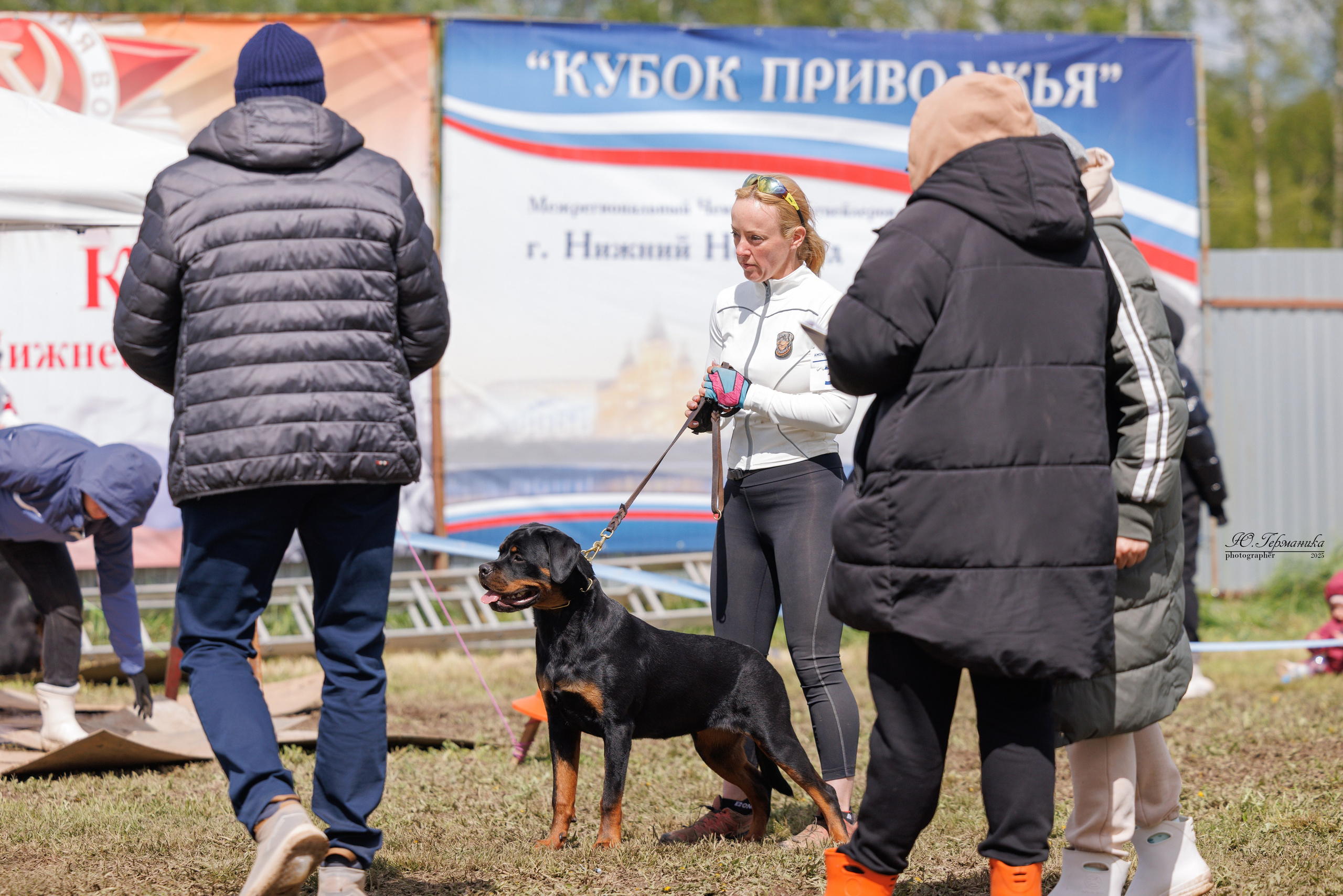 Нижний Новгород 2хмоно ротвейлеров 10-11.05.2025. Фотограф-анималист Юлия Германика