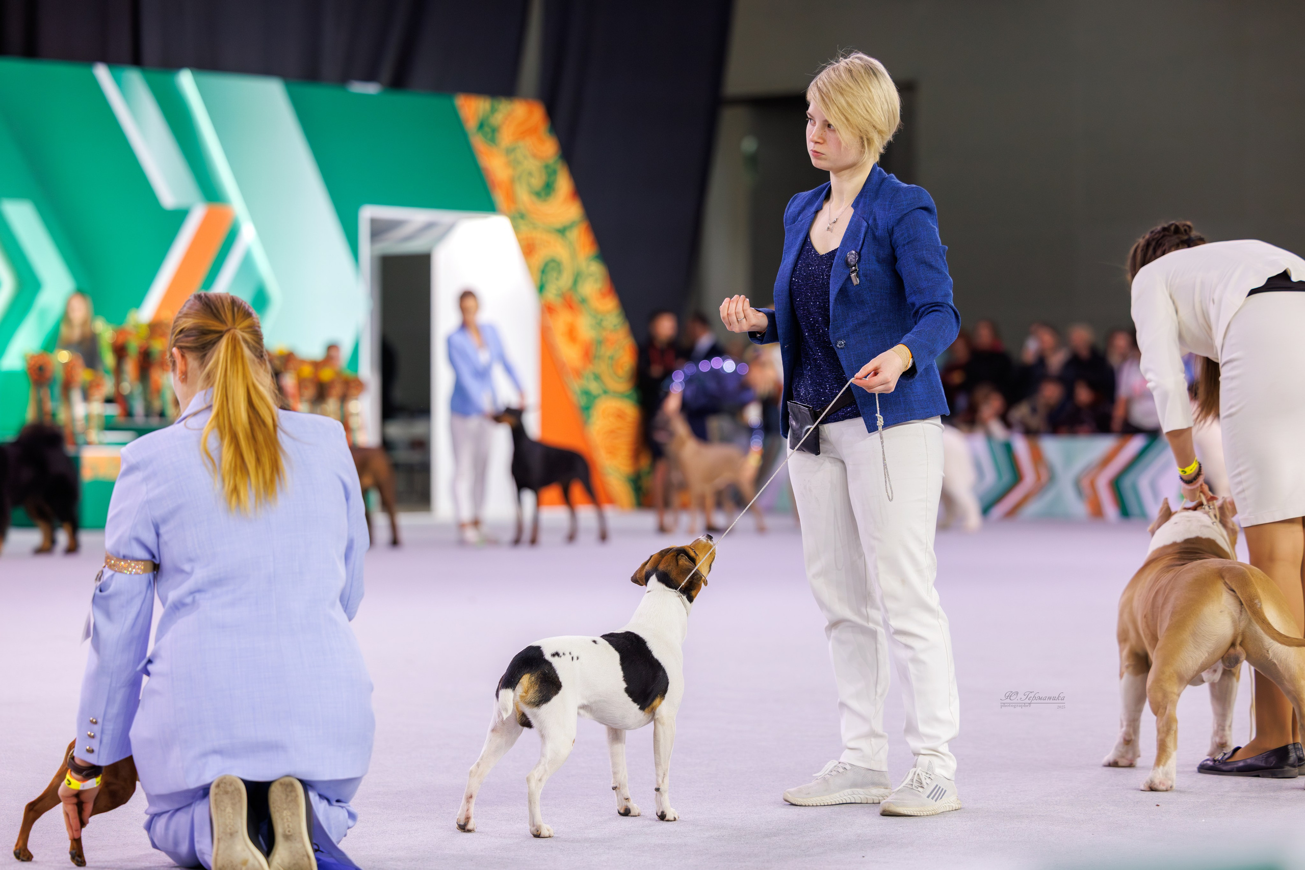 Евразия 15-16.11.2025. Фотограф-анималист Юлия Германика