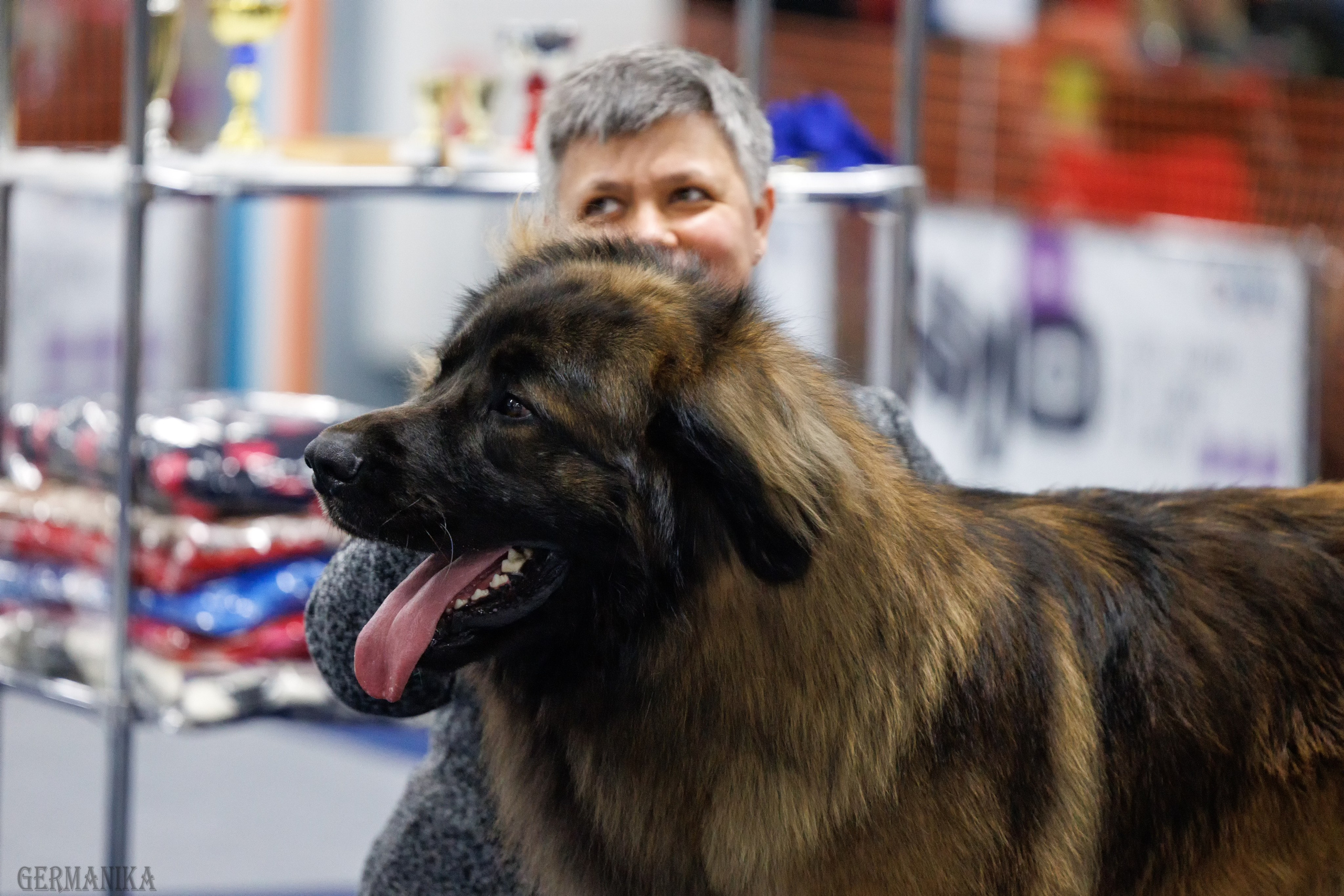 Сфера 28.01. и 4.02.2024. Фотограф-анималист Юлия Германика