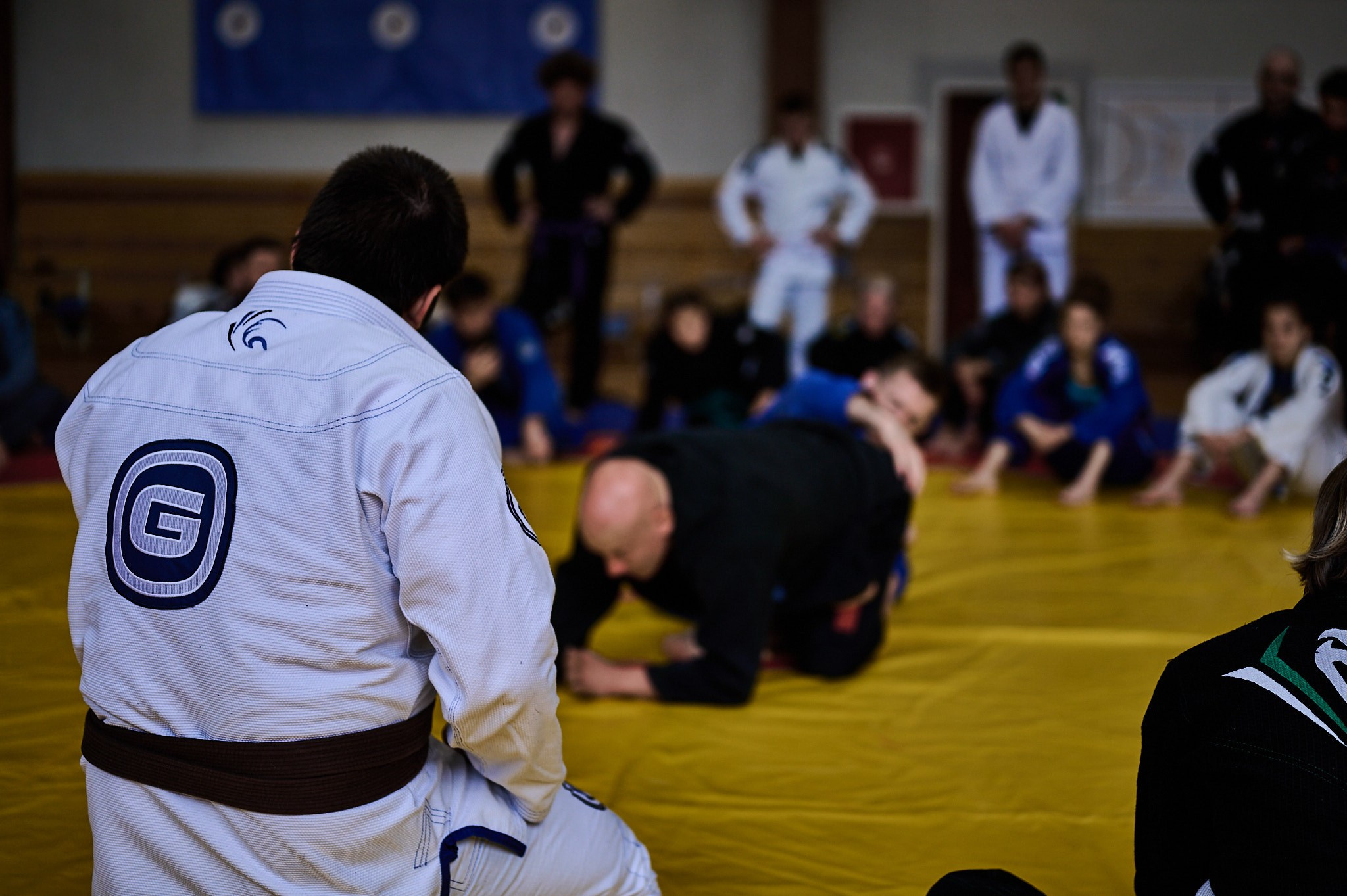 D.D. CAMP VBG Бразильское джиу-джитсу. Репортажный фотограф в Санкт-Петербурге Диана Ларченкова