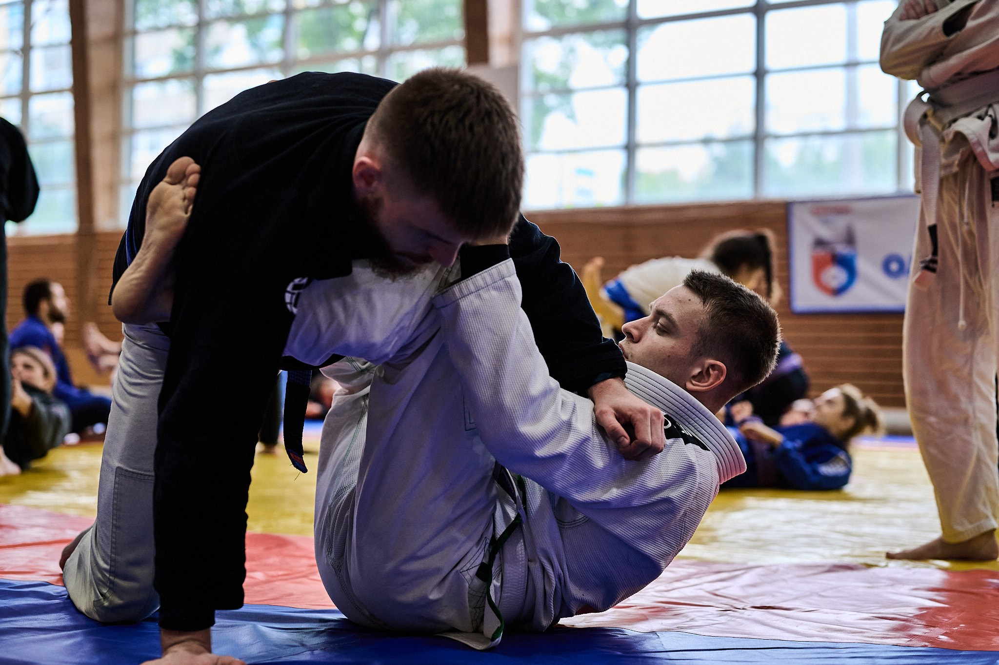 D.D. CAMP VBG Бразильское джиу-джитсу. Репортажный фотограф в Санкт-Петербурге Диана Ларченкова