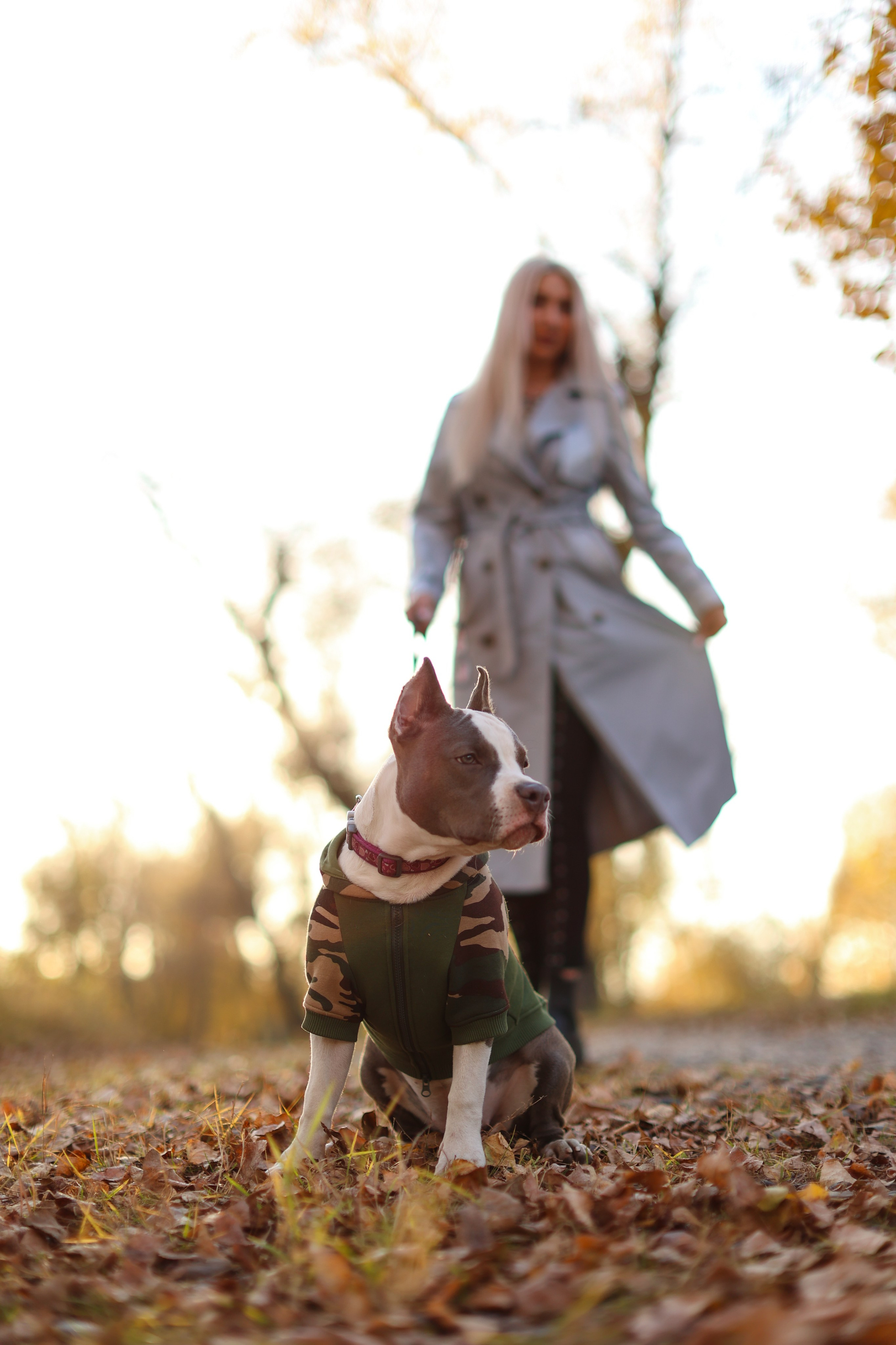 Осень. Art my Pho