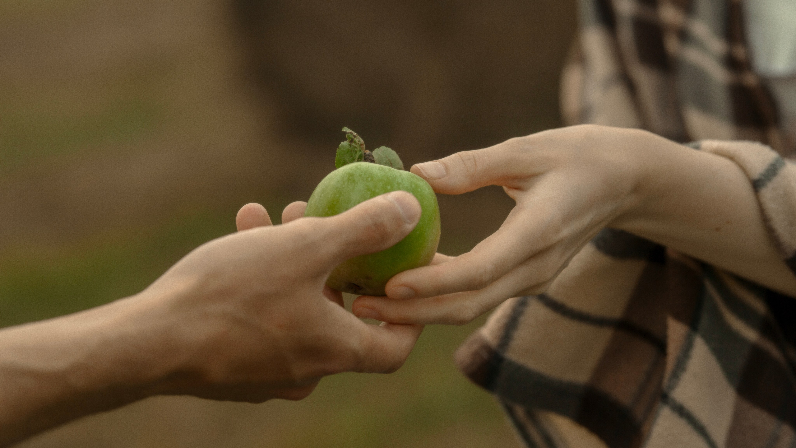 «Утро». Фотограф и Видеограф Артур Гимаев