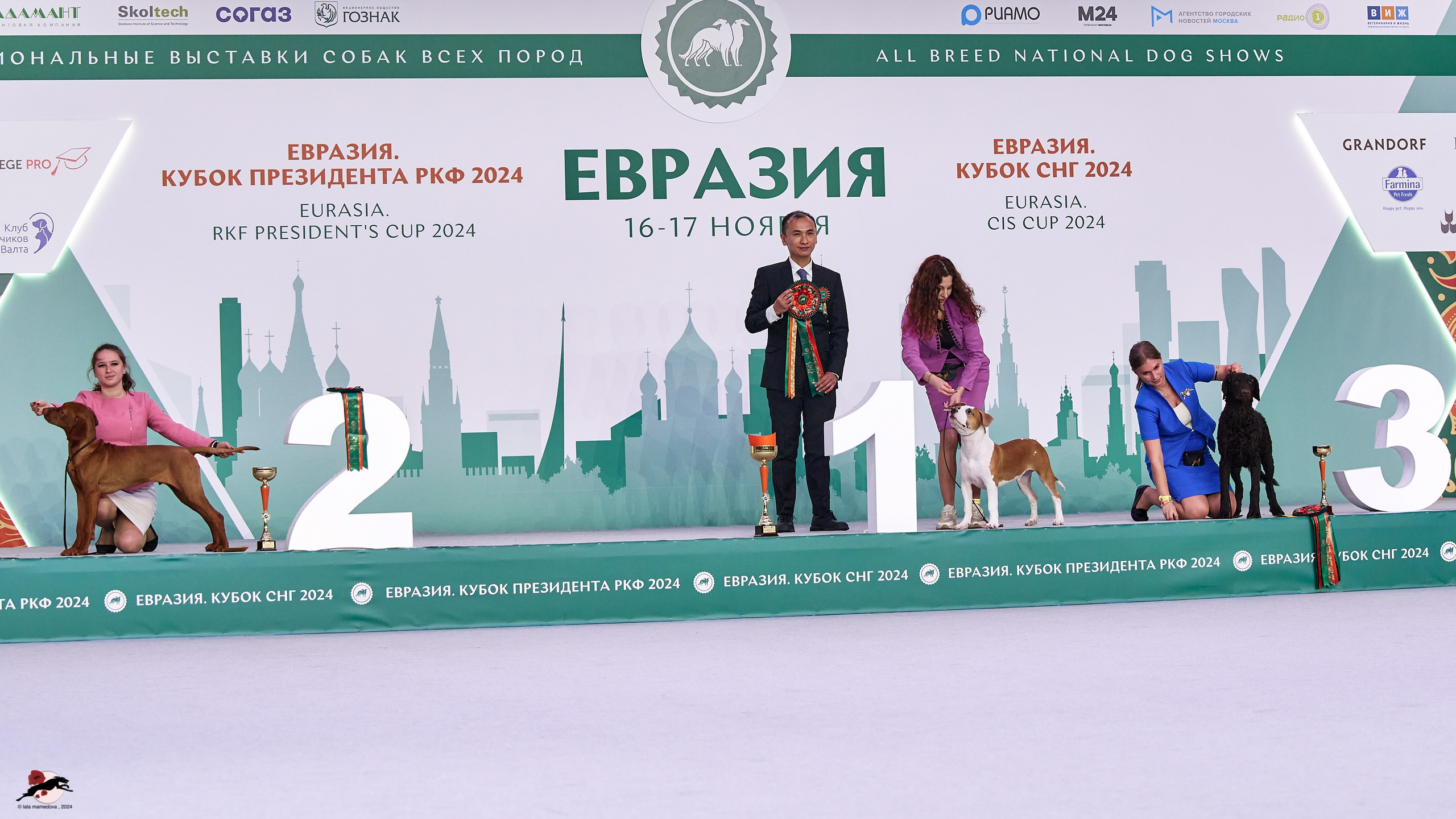 17.11.2024 «ЕВРАЗИЯ. КУБОК СНГ 2024»