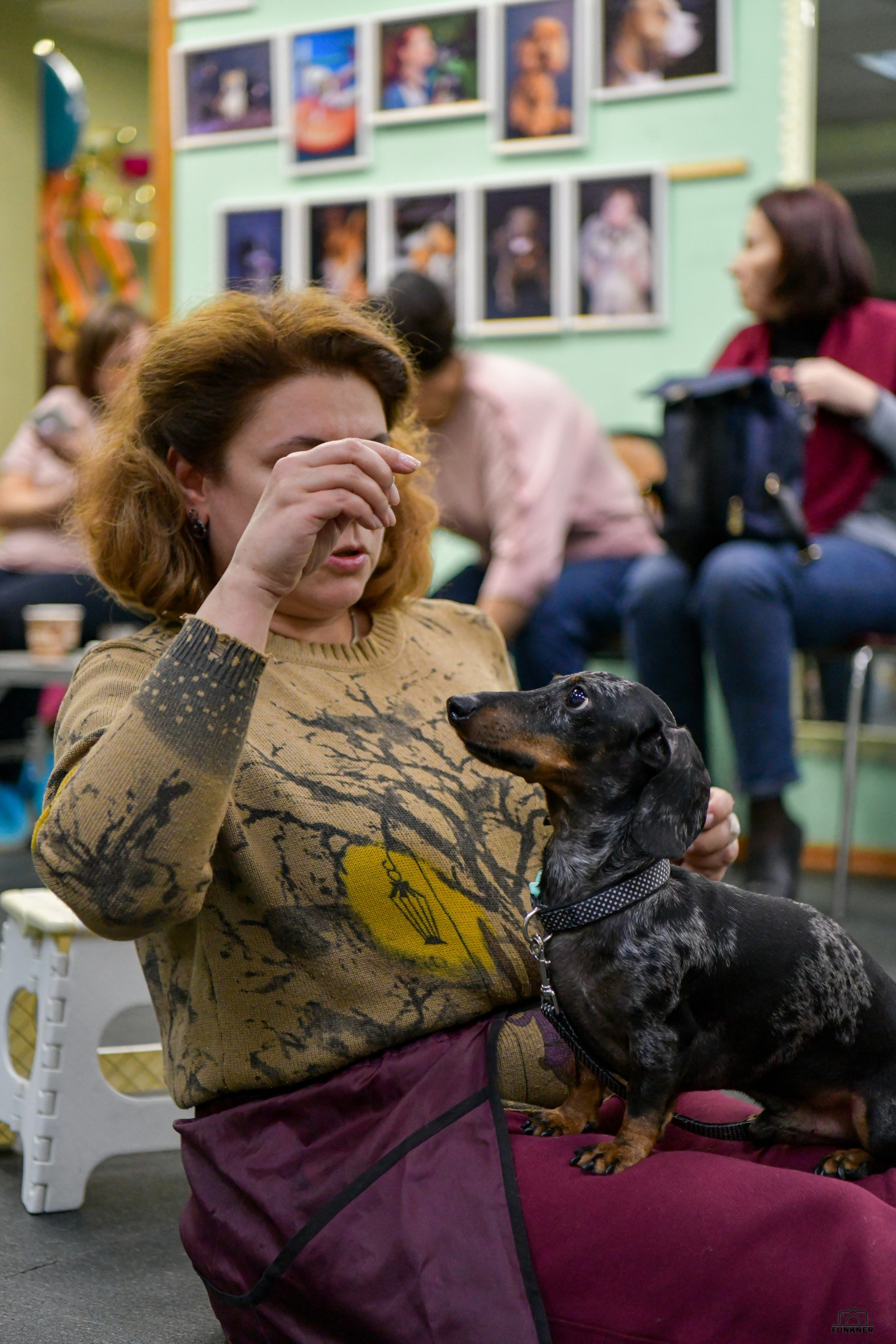 Кинологический клуб «Бодрый хвост». Свой взгляд через объектив