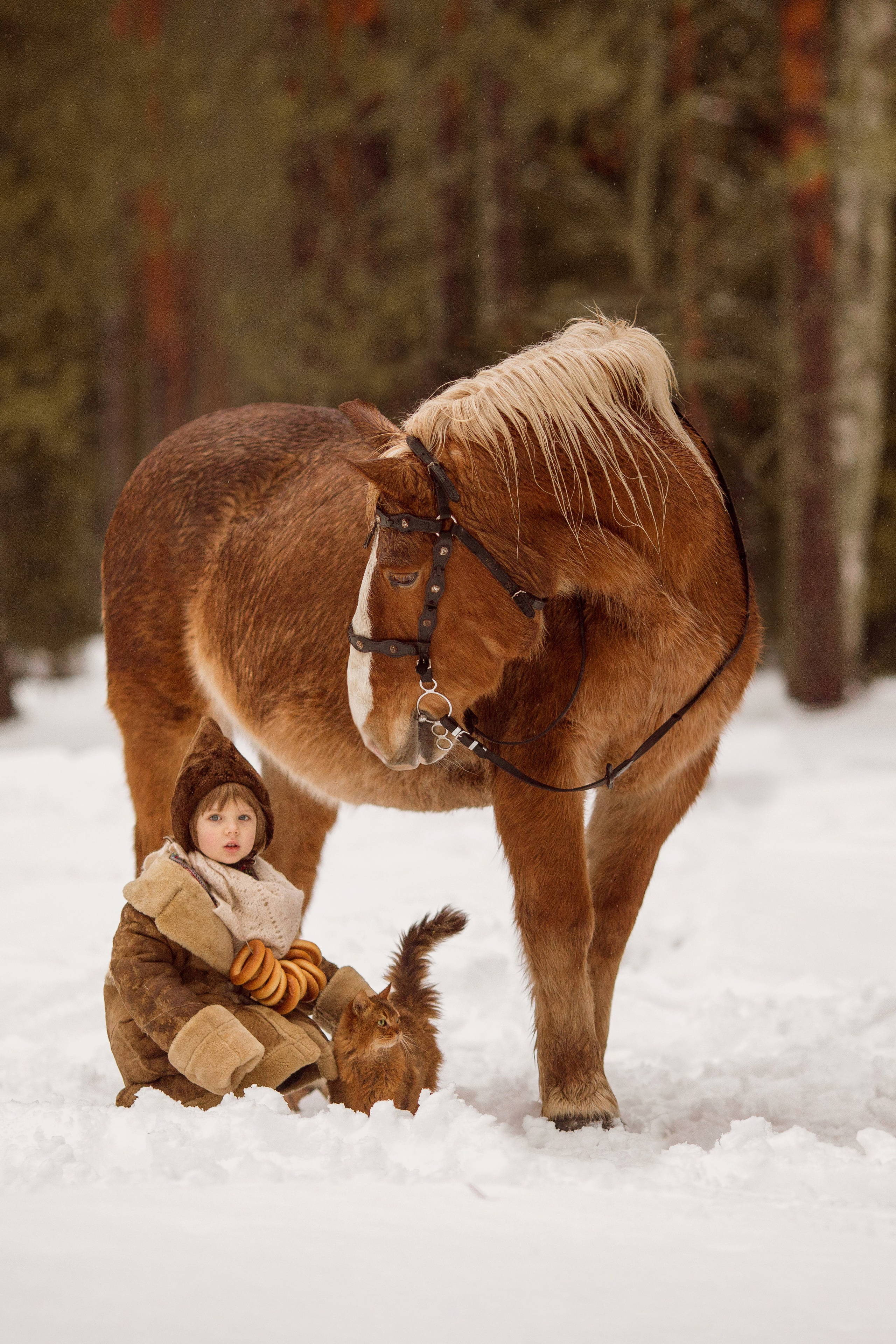 Фото мальчика и лошади зимой