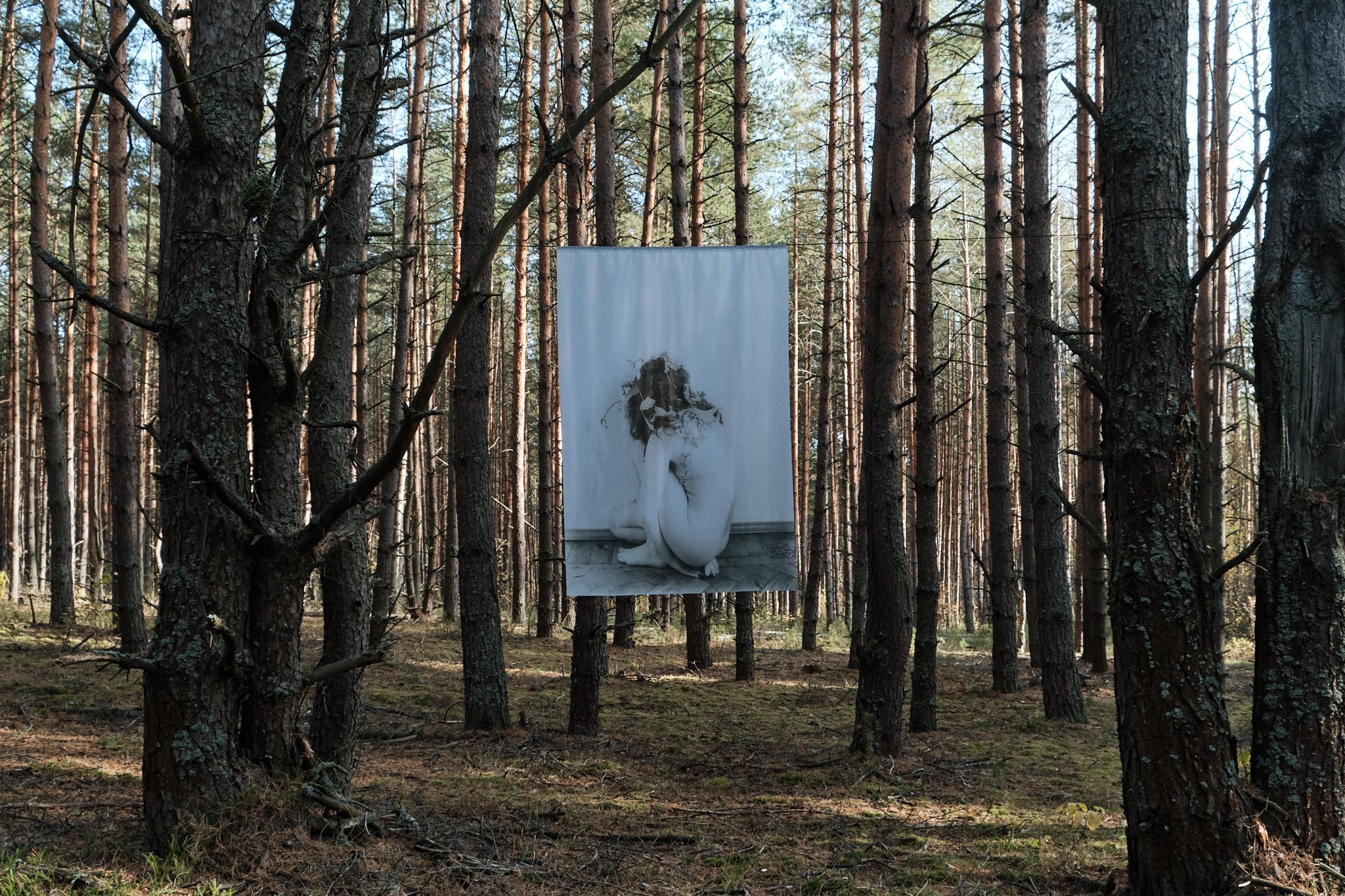 Я приношу к себе лес я себя приношу в лес. Алиса Косарева