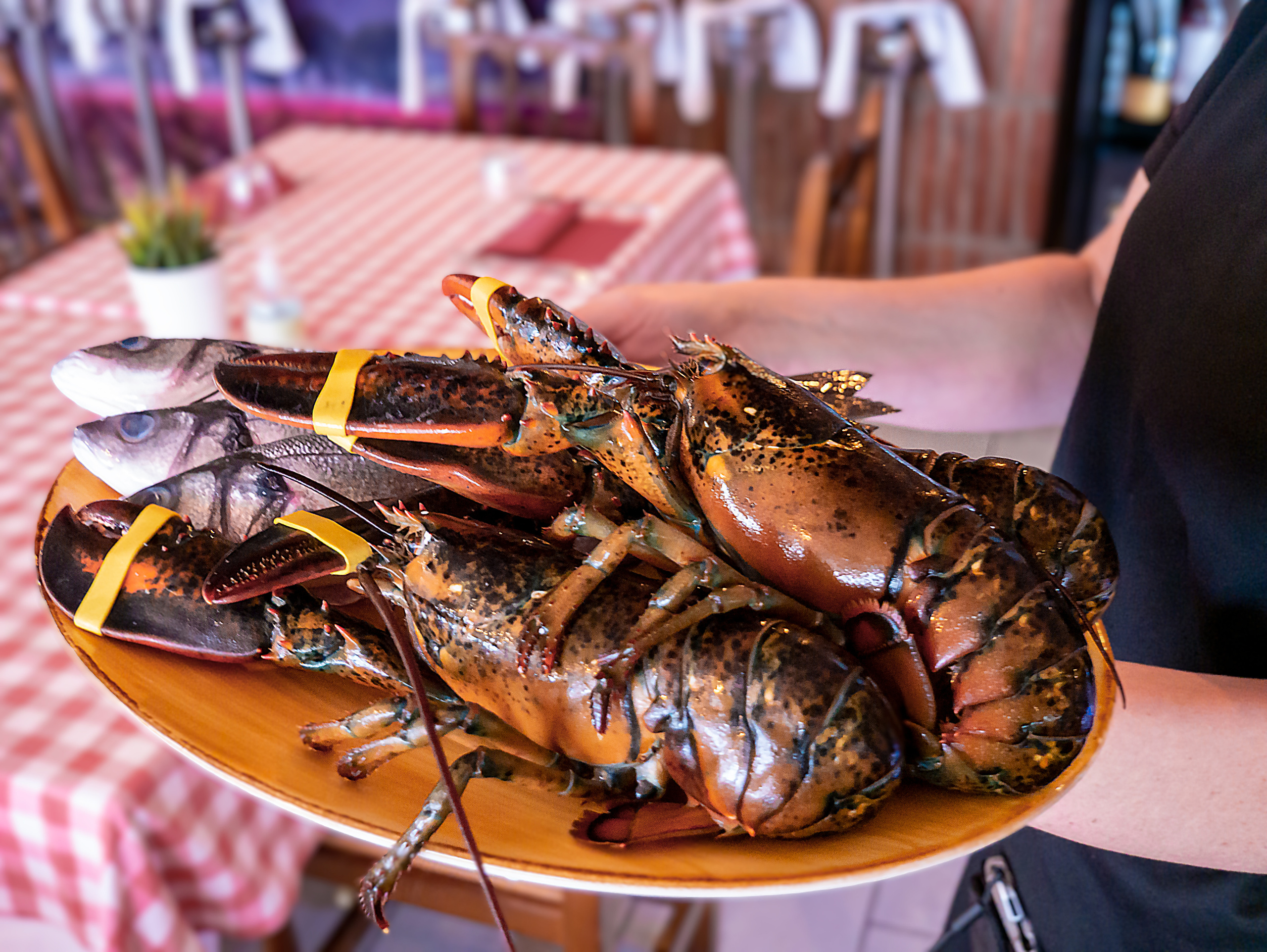 Fotos para restaurantes. Fotógrafo Y Videógrafo Rost Kutuzov