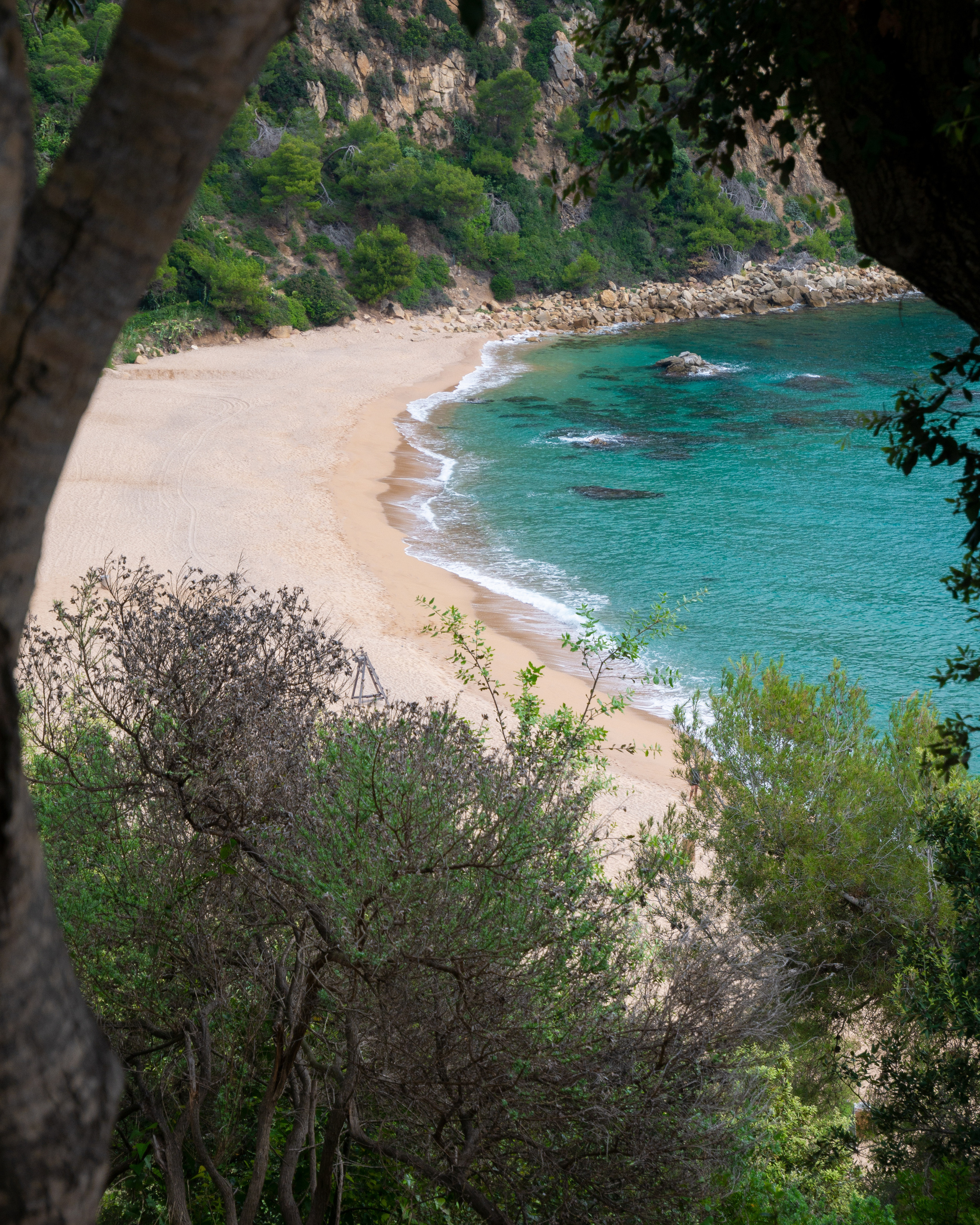 Paisajes. Fotógrafo Y Videógrafo Rost Kutuzov