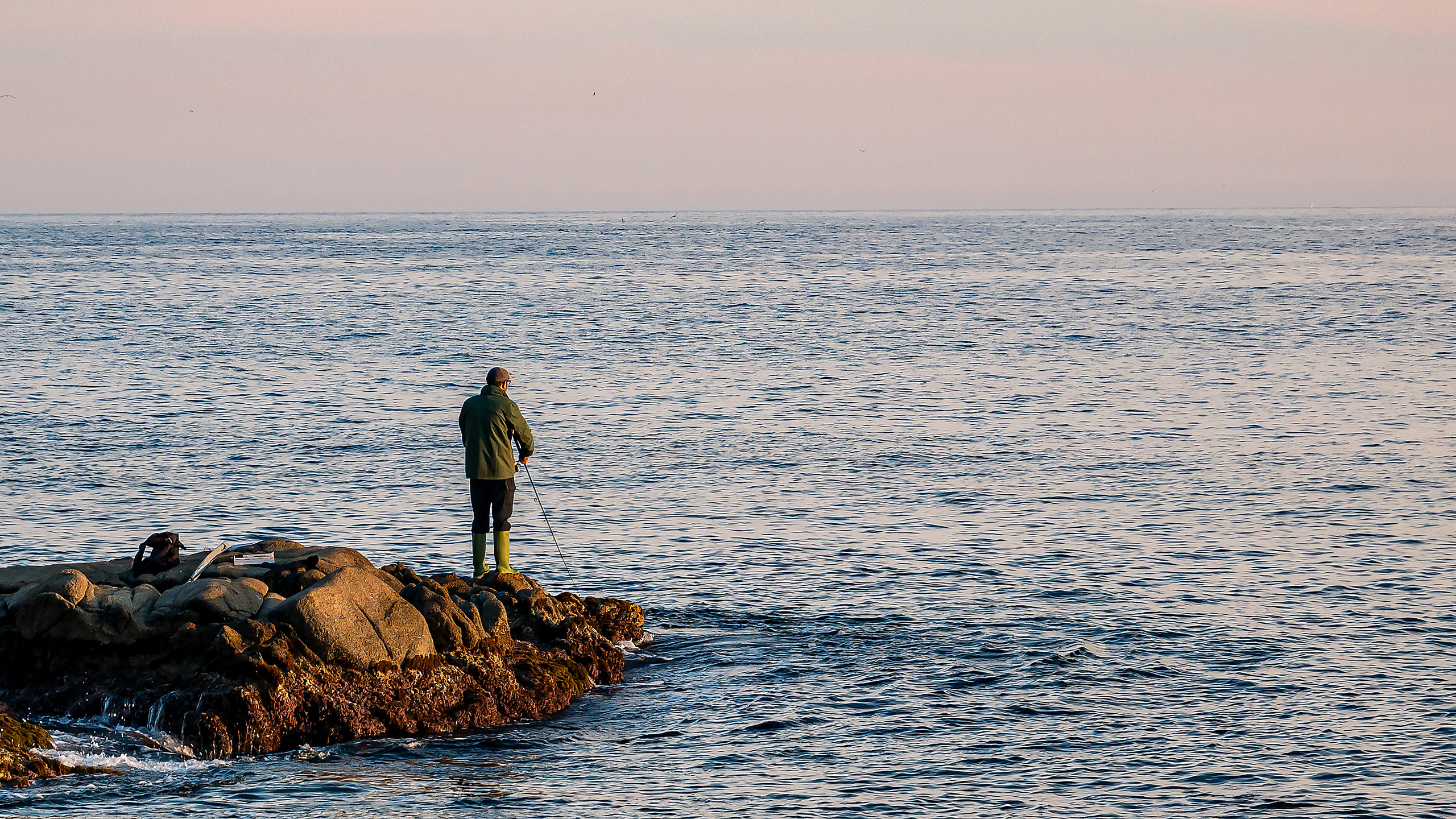 Inicio. Fotógrafo Y Videógrafo Rost Kutuzov