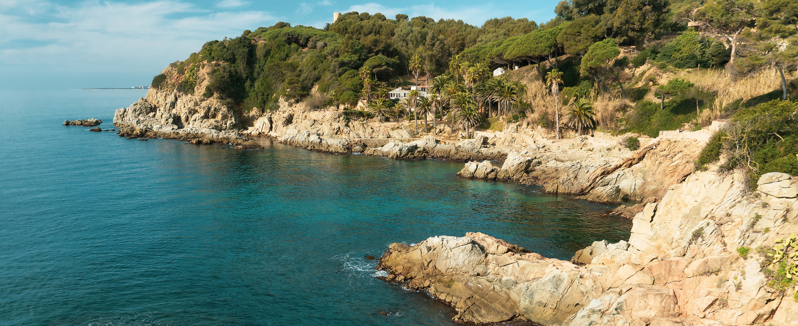 Inicio. Fotógrafo Y Videógrafo Rost Kutuzov