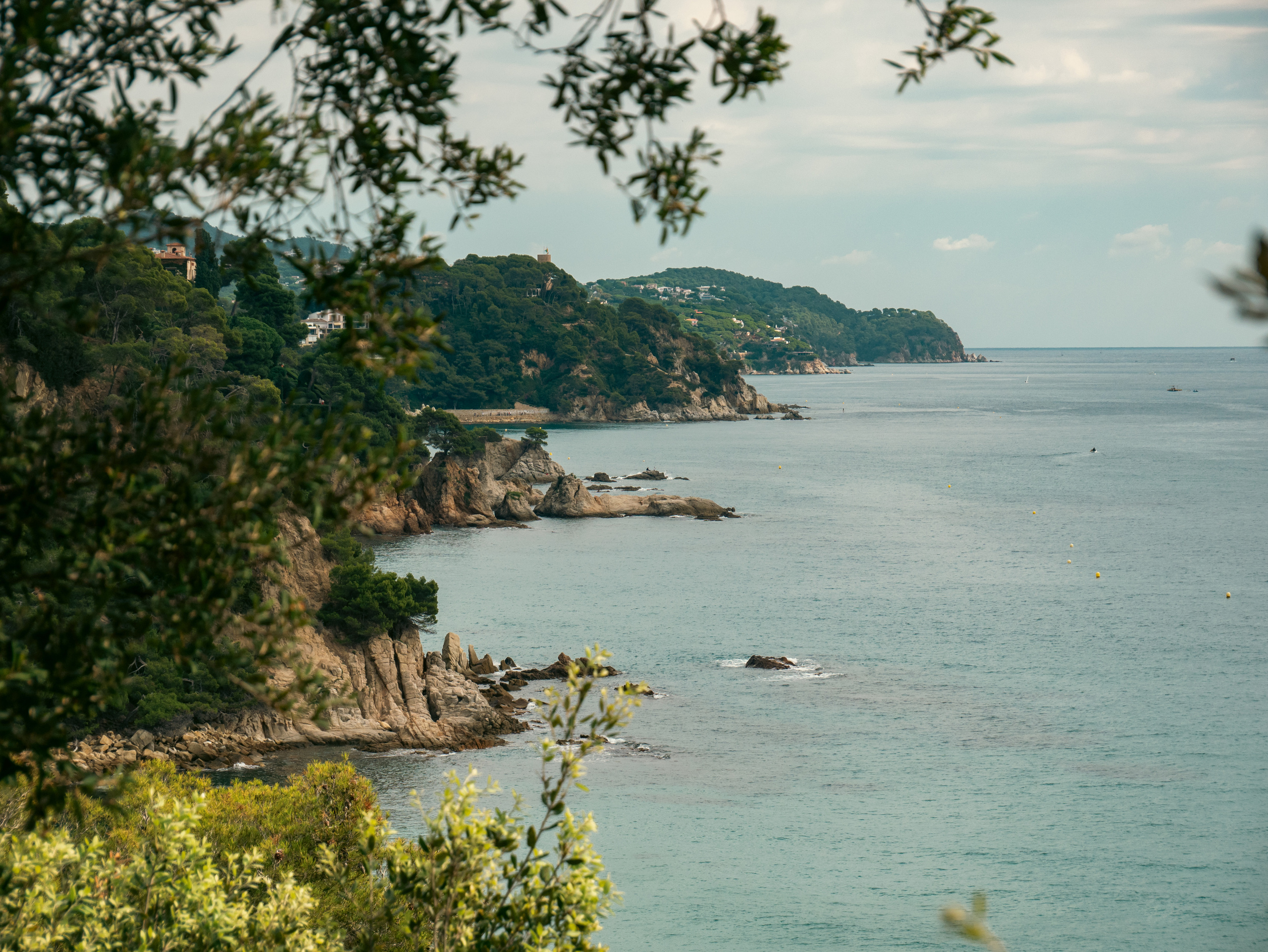 Paisajes. Fotógrafo Y Videógrafo Rost Kutuzov