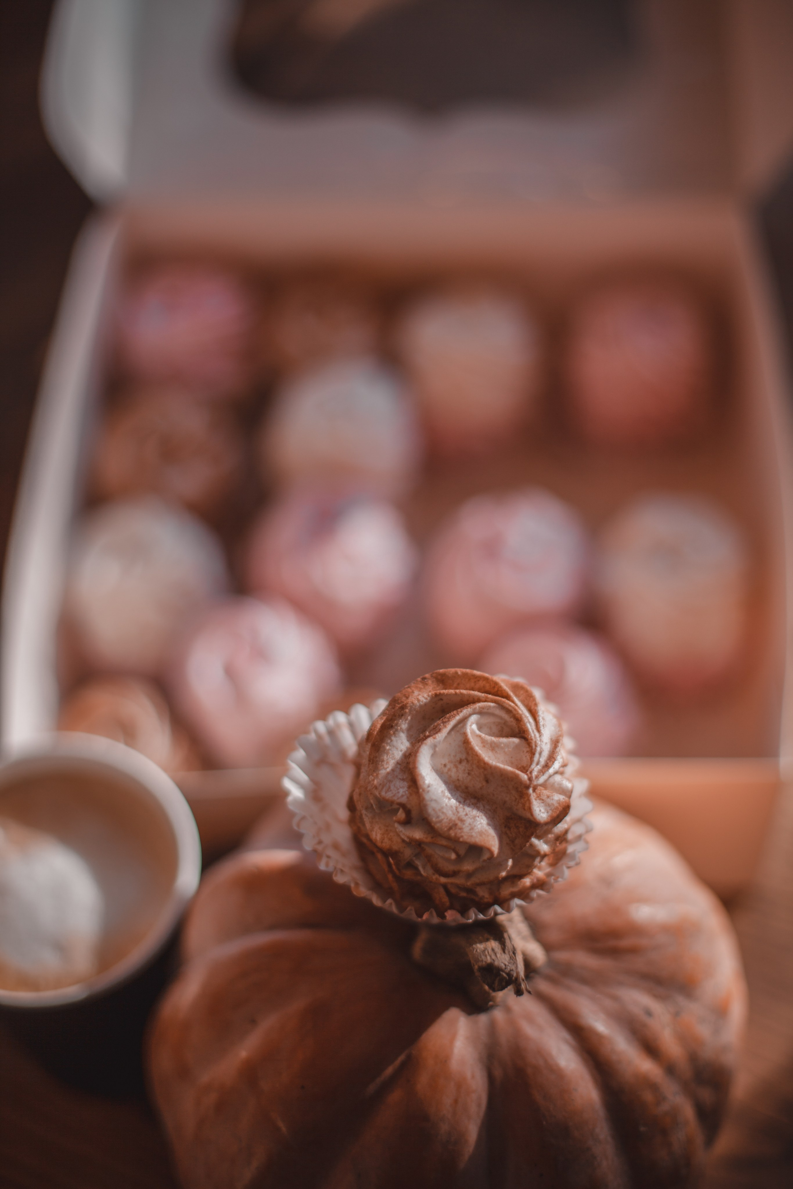 Контент. Фотограф Эльвина Серафимова