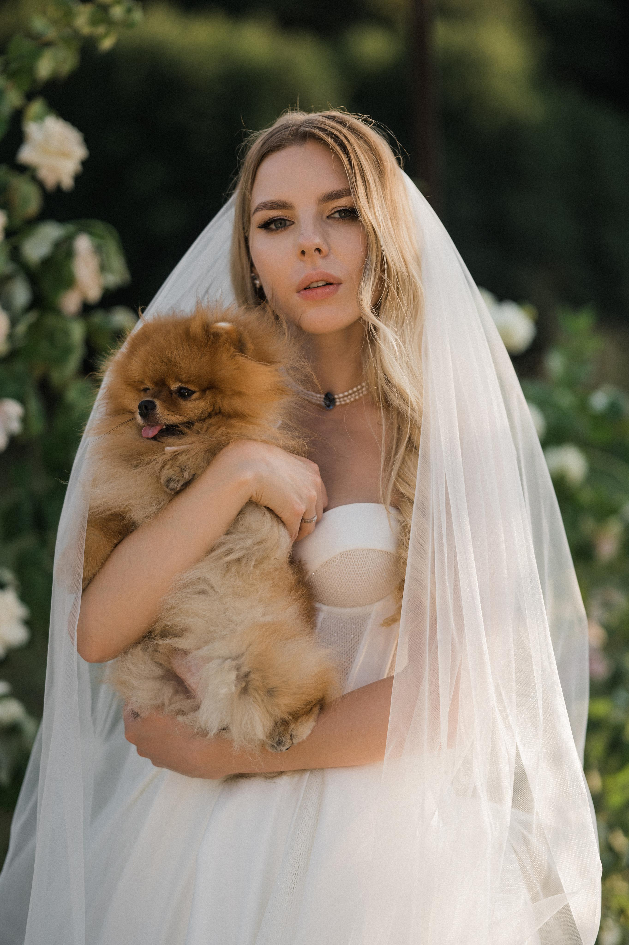 Daniil | Alina. Свадебный фотограф Сергей Скрипник