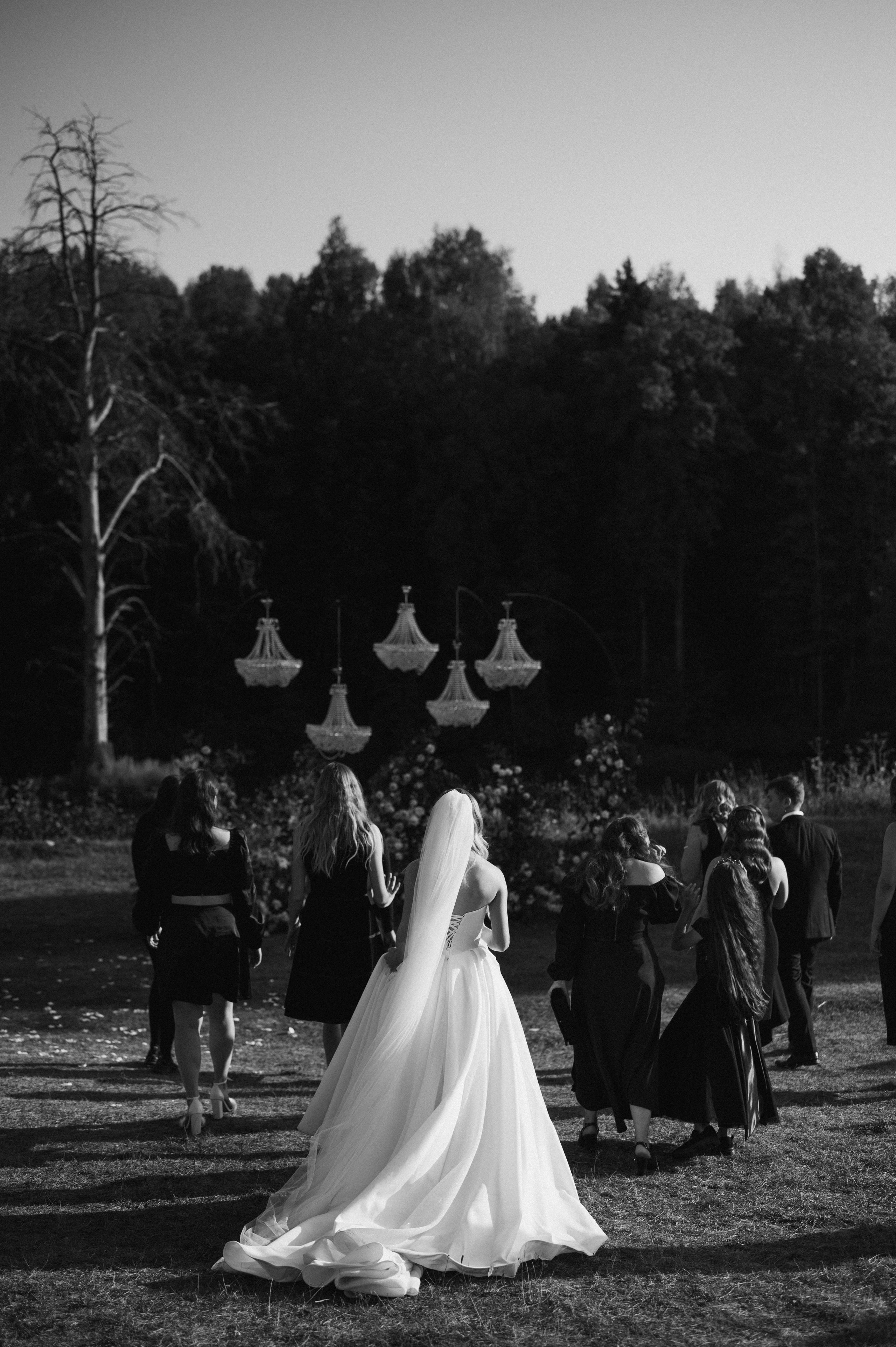 Daniil | Alina. Свадебный фотограф Сергей Скрипник