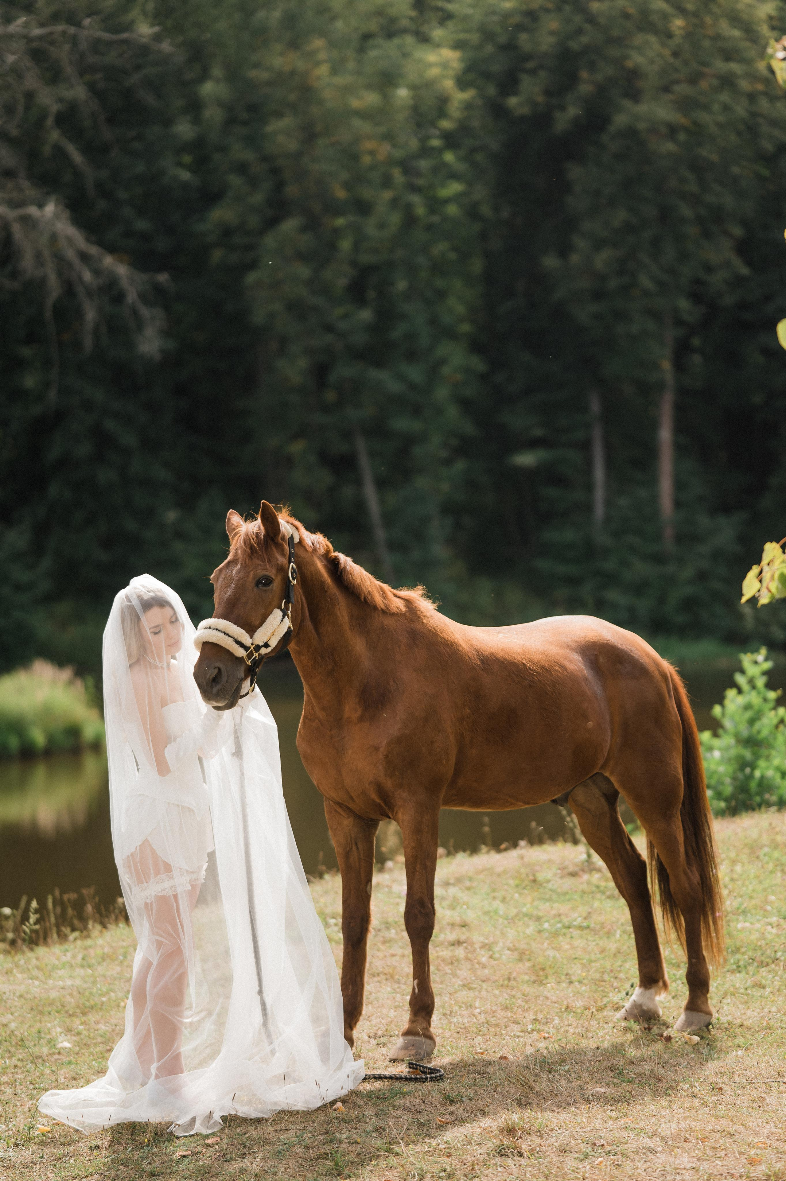 Daniil | Alina. Свадебный фотограф Сергей Скрипник