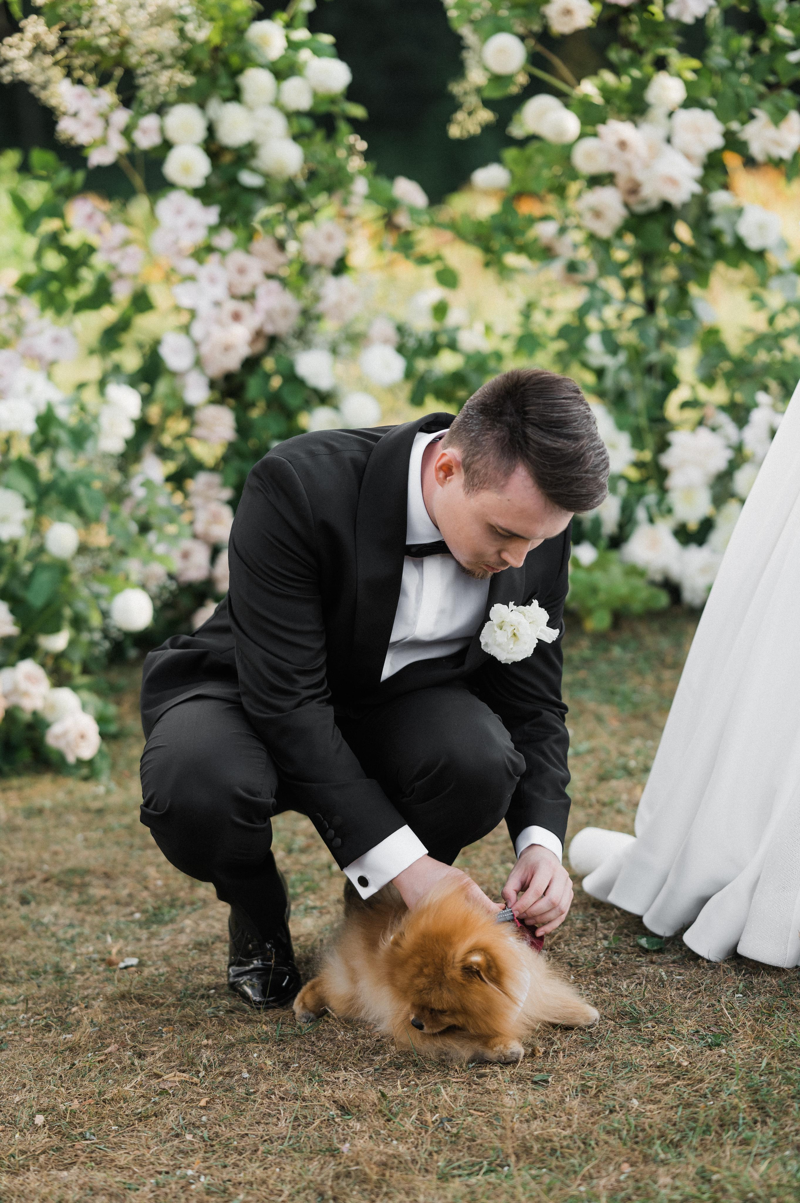 Daniil | Alina. Свадебный фотограф Сергей Скрипник