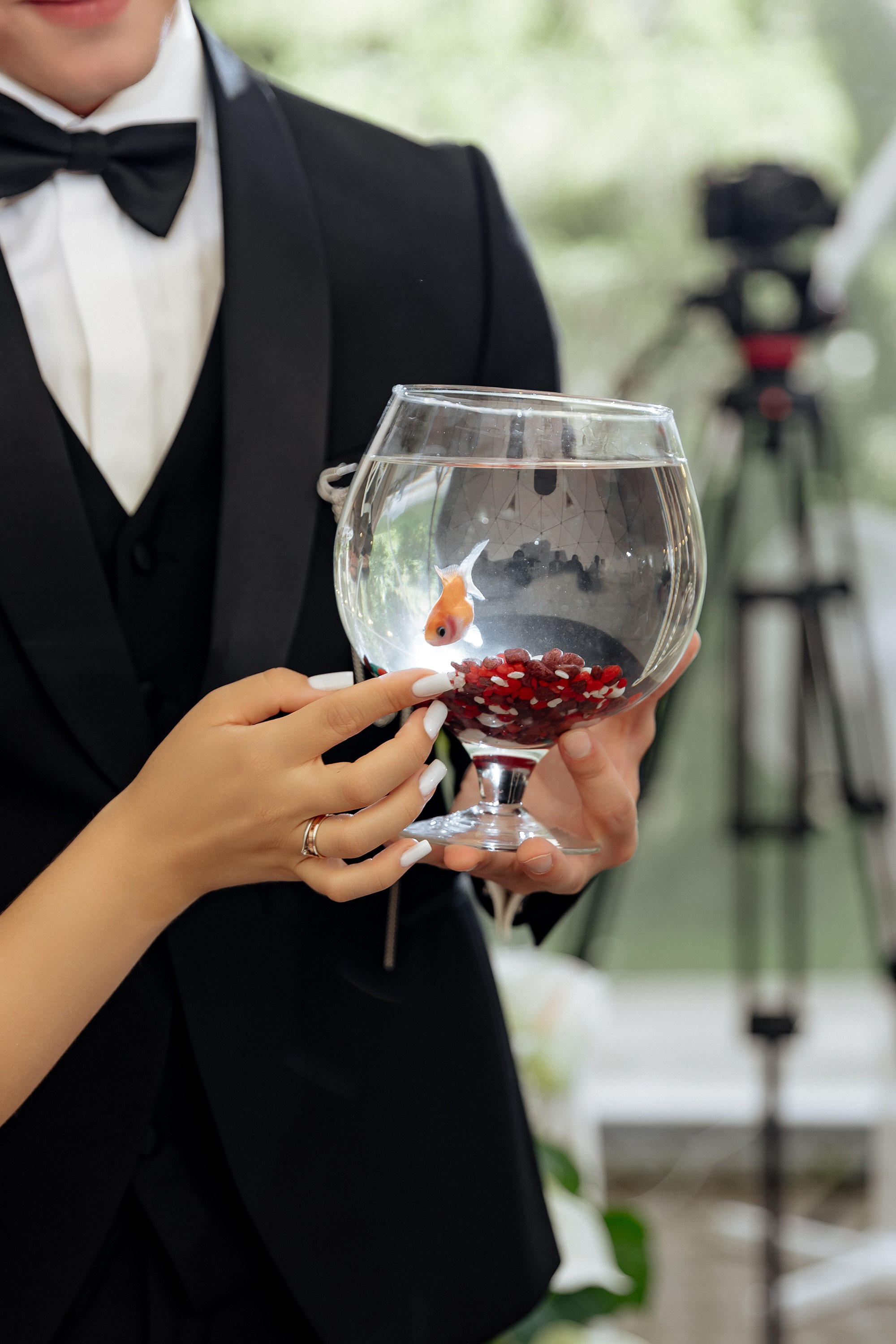 15 августа WED. Свадебный фотограф Анастасия Пелевина