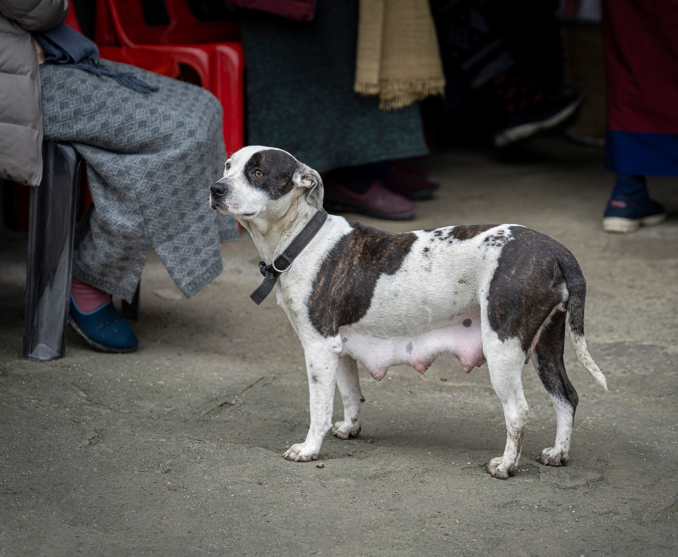 India travel. Фотограф Сергей Танков