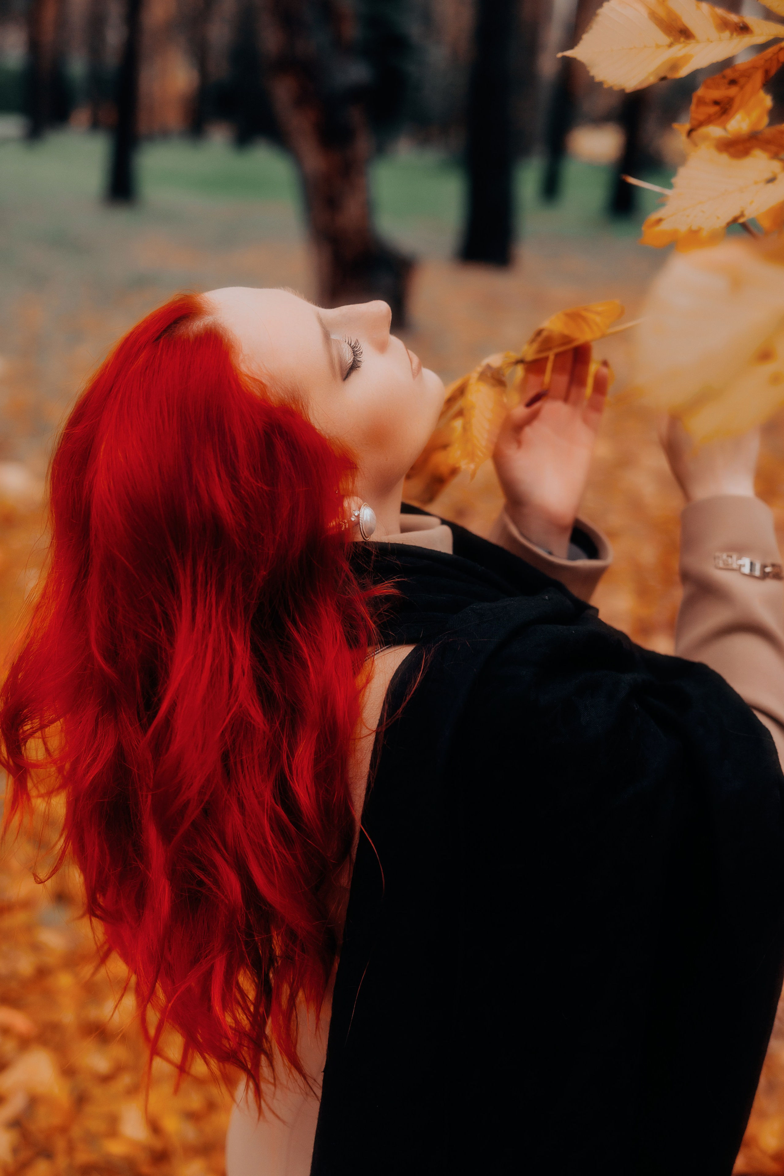 ALEXSANDRA. Shamirov Arkadiy