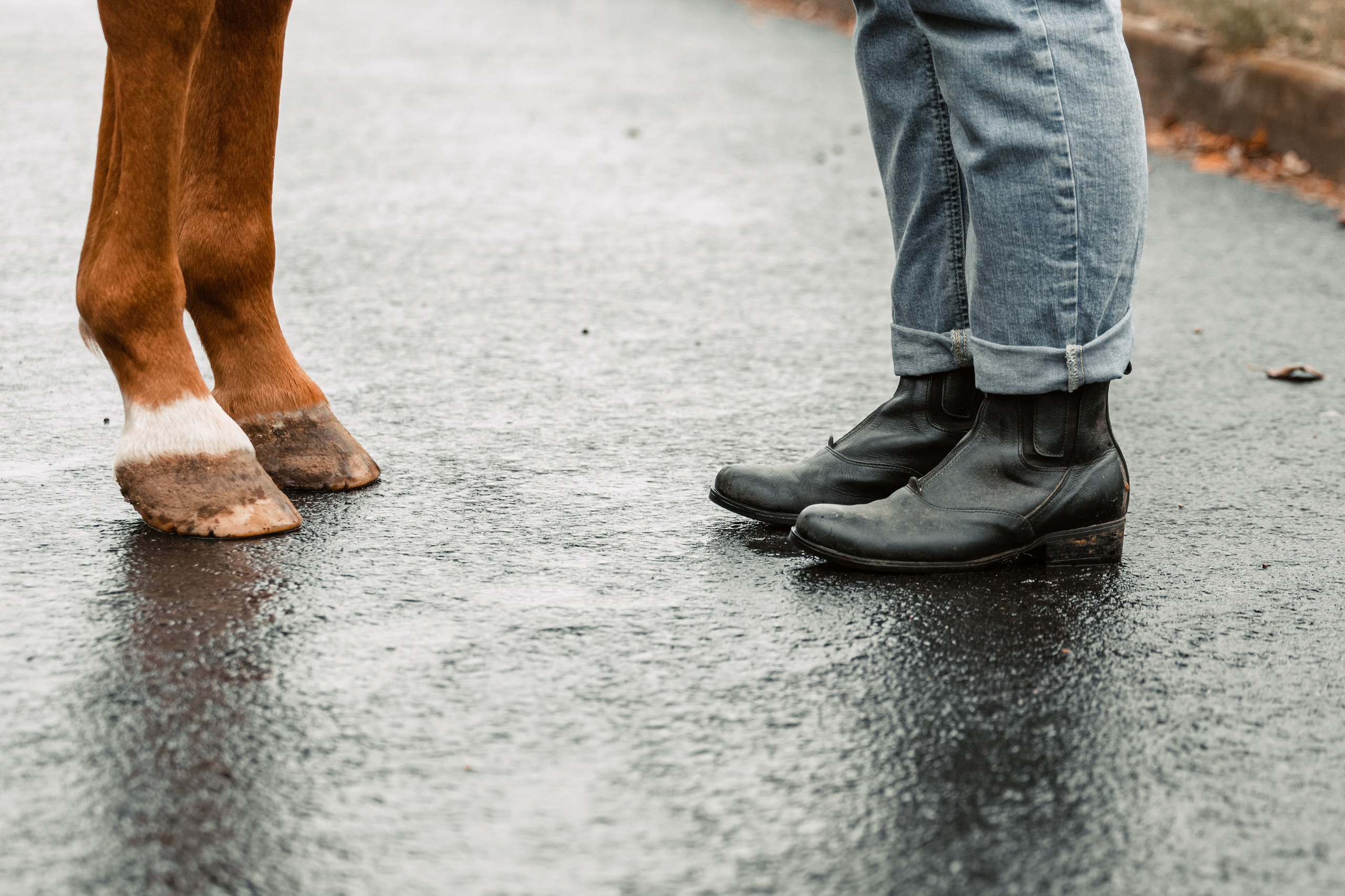 Лена и Рэджи. Фотограф-анималист Татьяна Степанова
