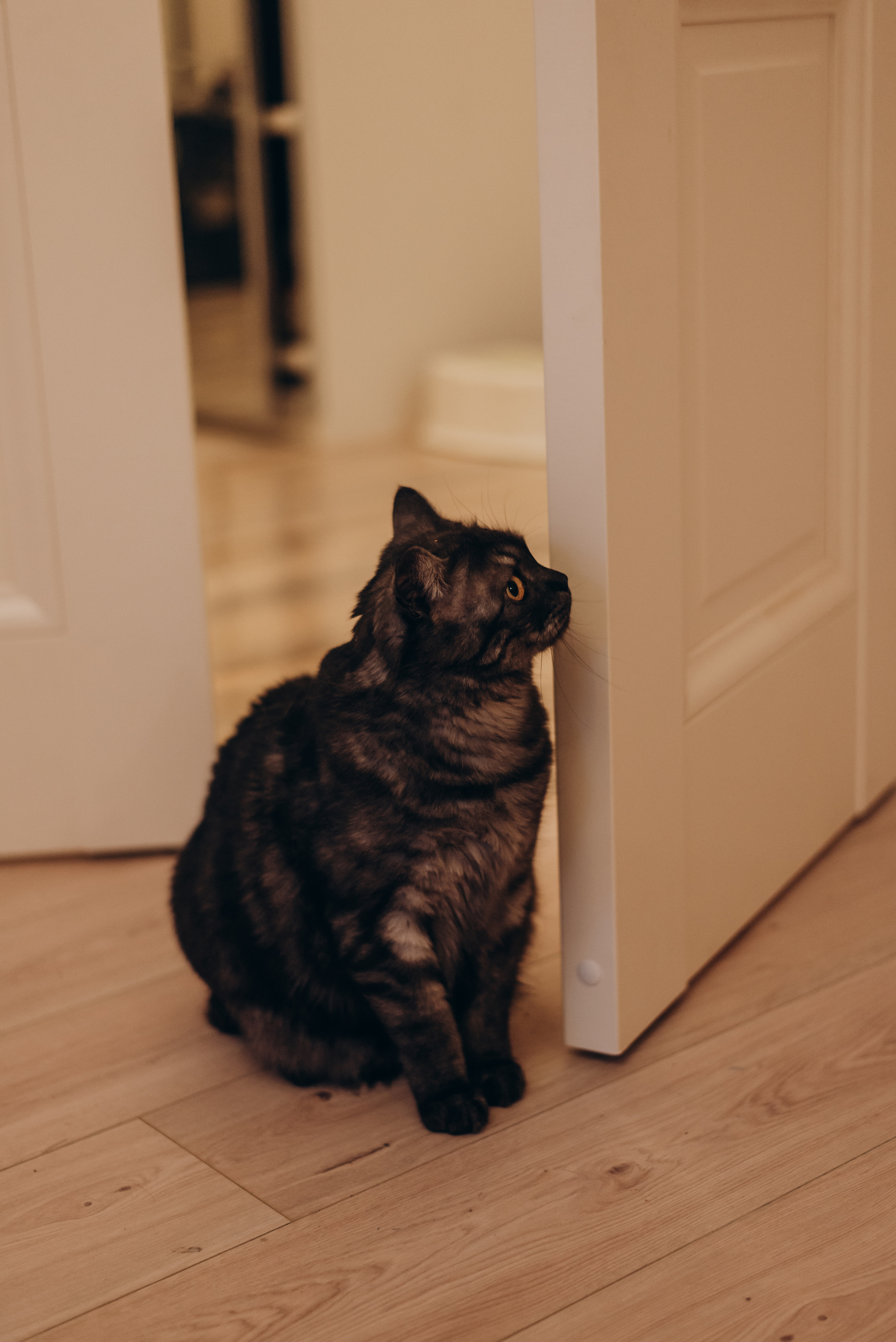 Домашние съемки. Фотограф Санкт-Петербурга Наталья Белова