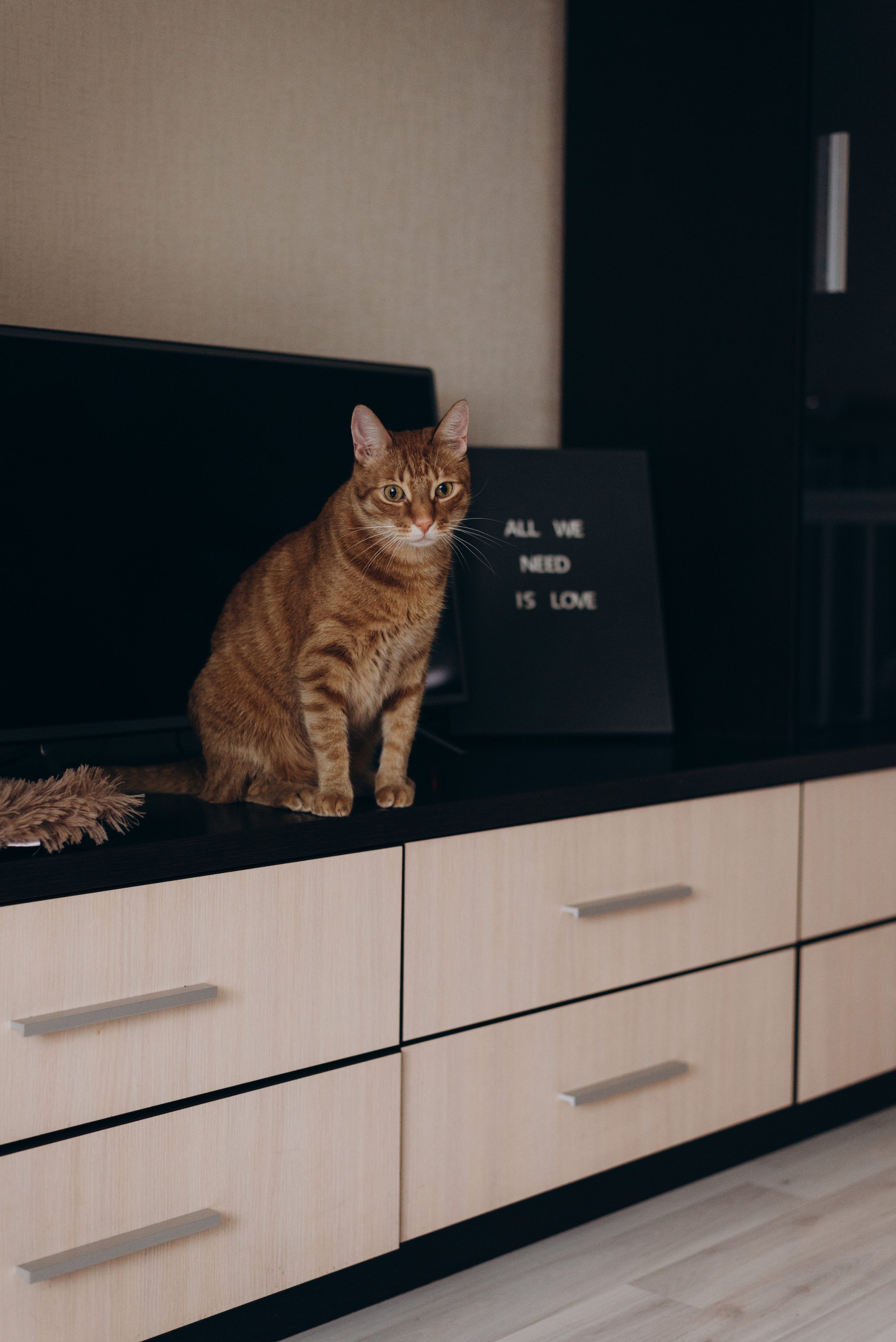 Домашние съемки. Фотограф Санкт-Петербурга Наталья Белова