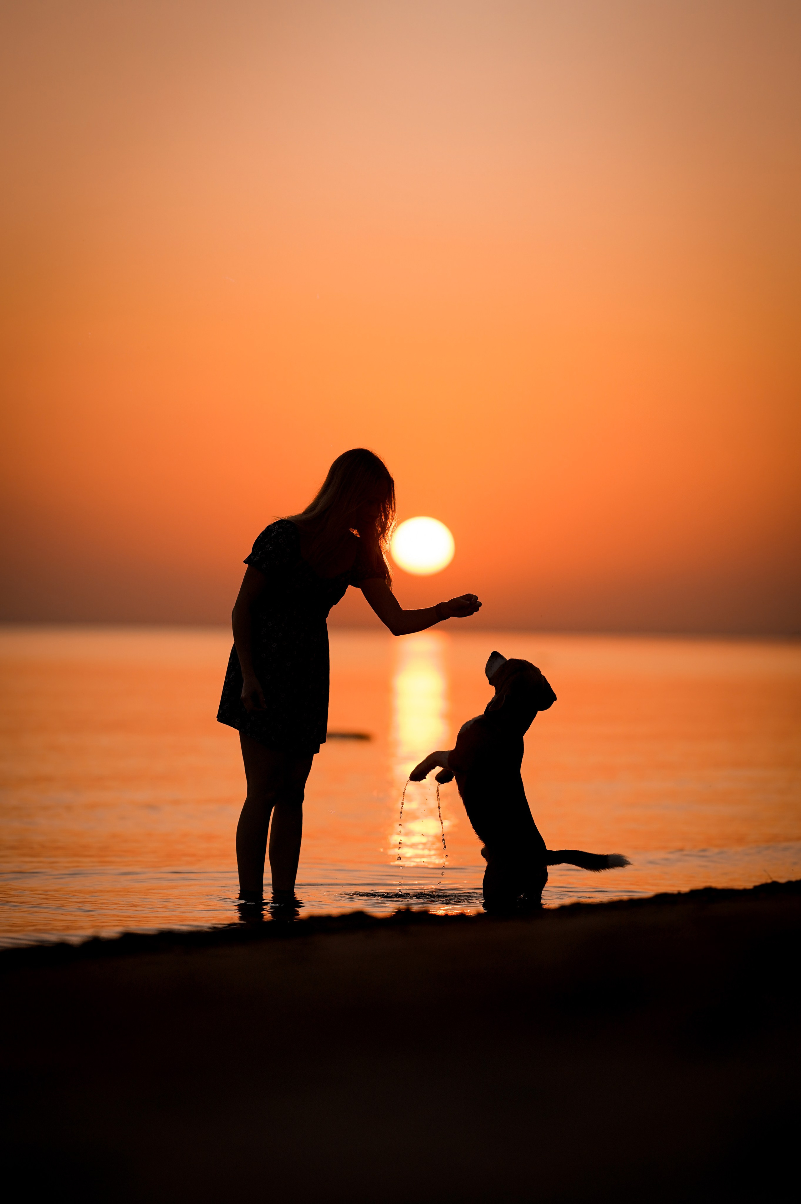 Оля Леша и Ричард. Фотограф-анималист в Санкт-Петербурге Яна Мартынова