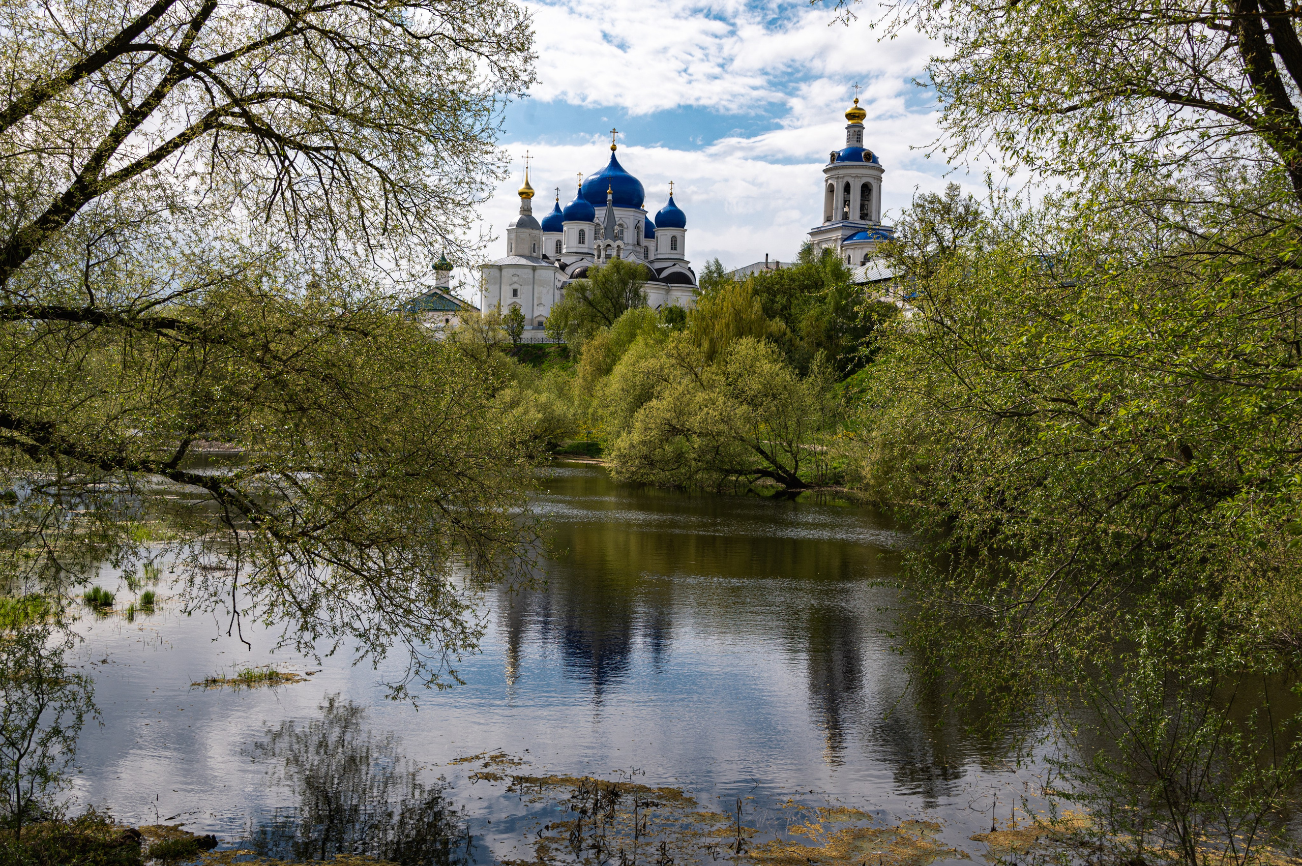 Храм на Нерли. Фотограф Роман Адлер