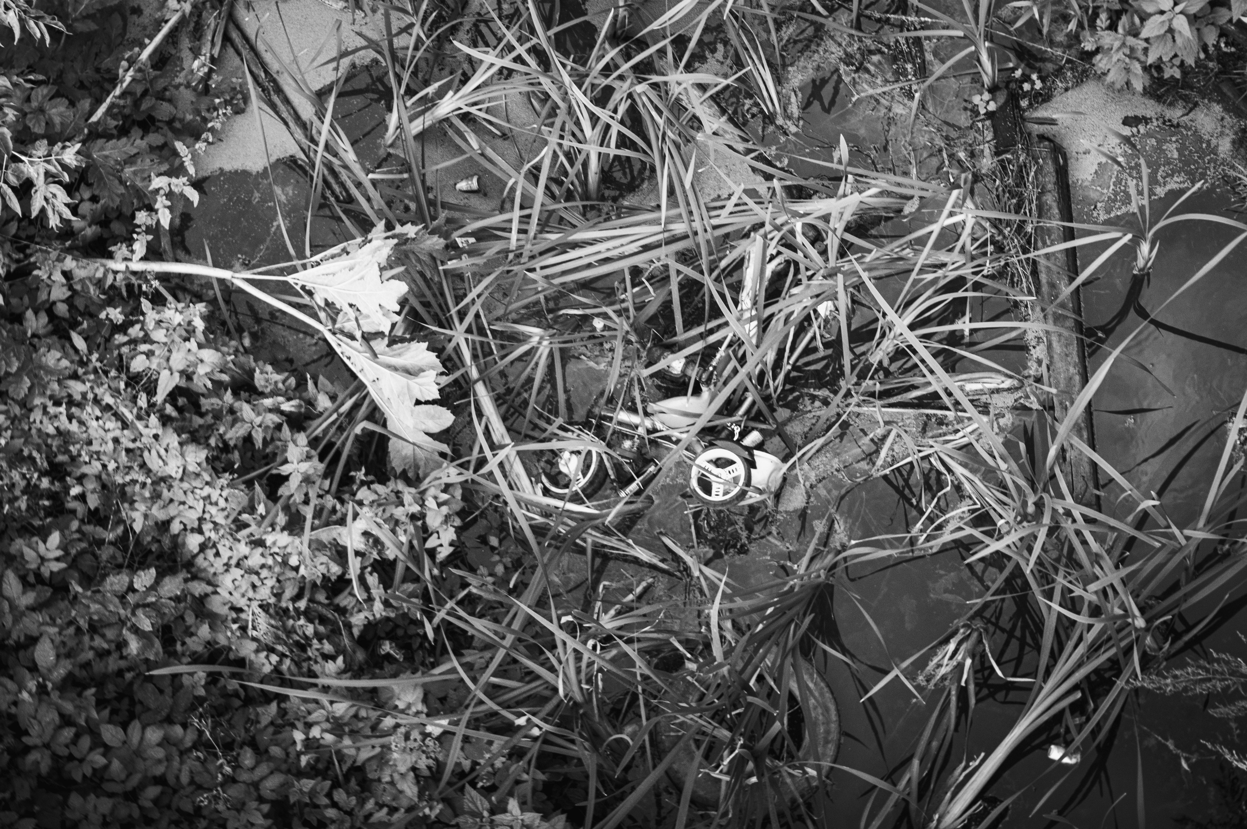 Муром. Сентябрь 2022. Фотограф Роман Адлер