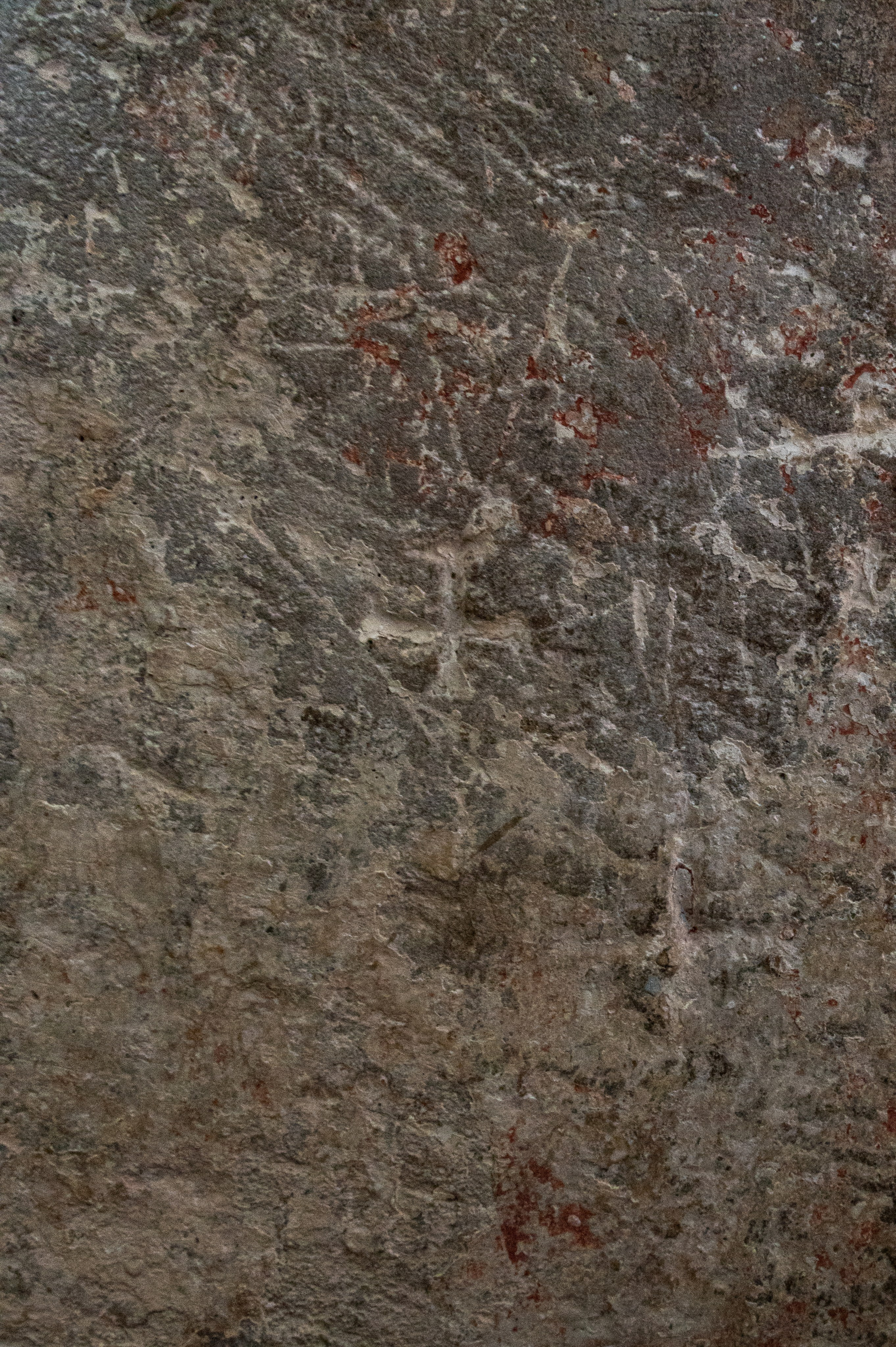 Храм на Нерли. Фотограф Роман Адлер