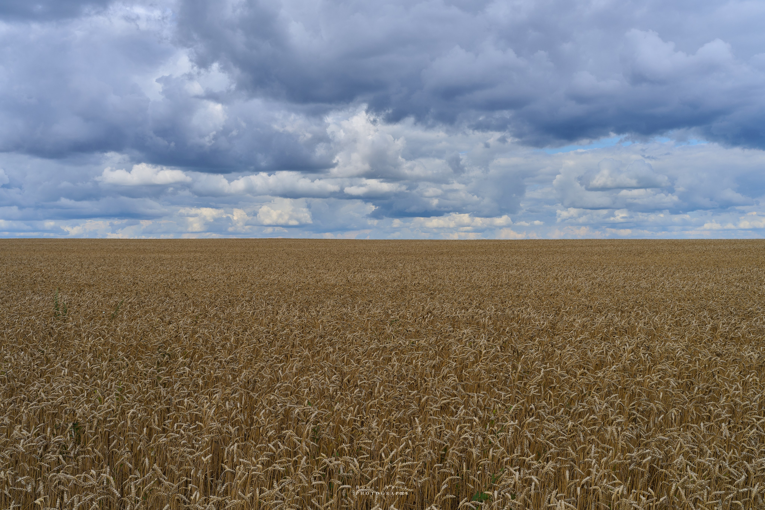 Воронеж. Август 2024. Фотограф Роман Адлер