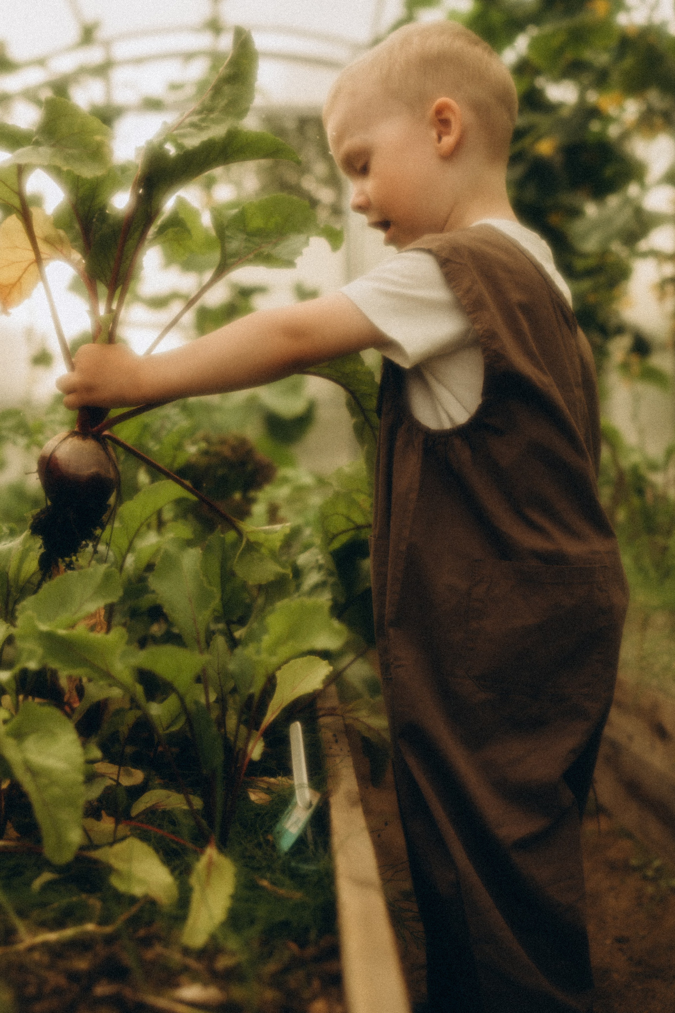 Про домашний уют на севера. Семейный фотограф в Мурманске Екатерина Юшкова